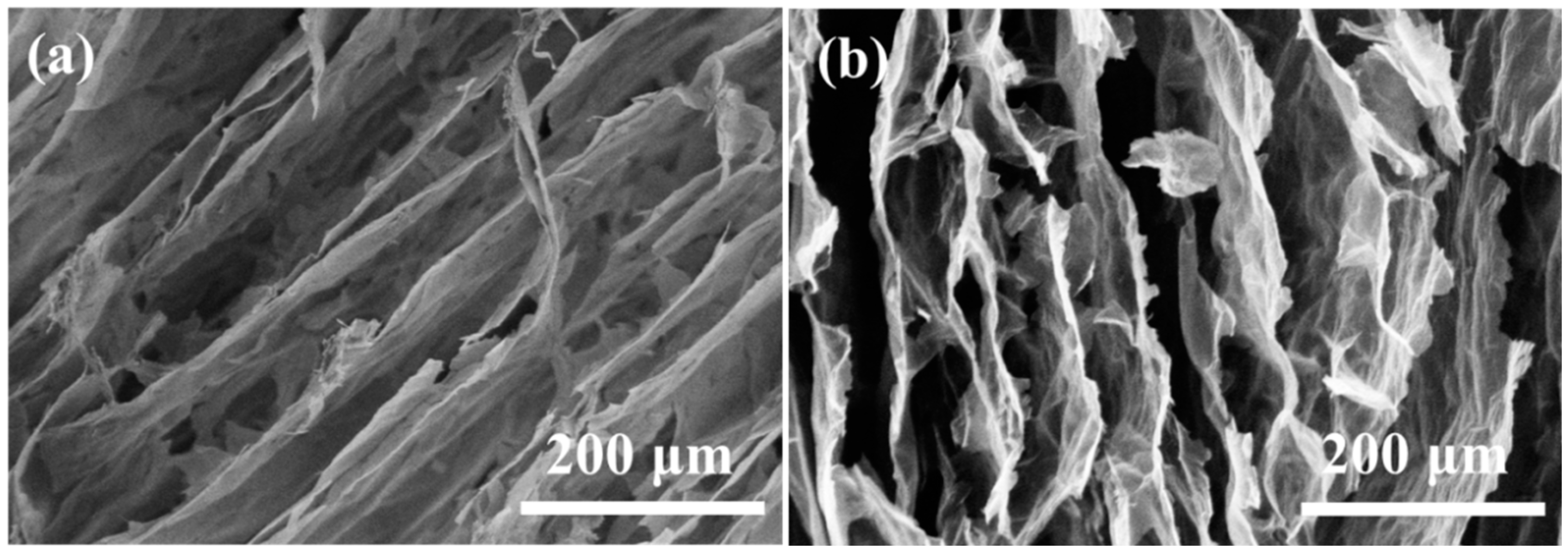 Coatings 13 01297 g006