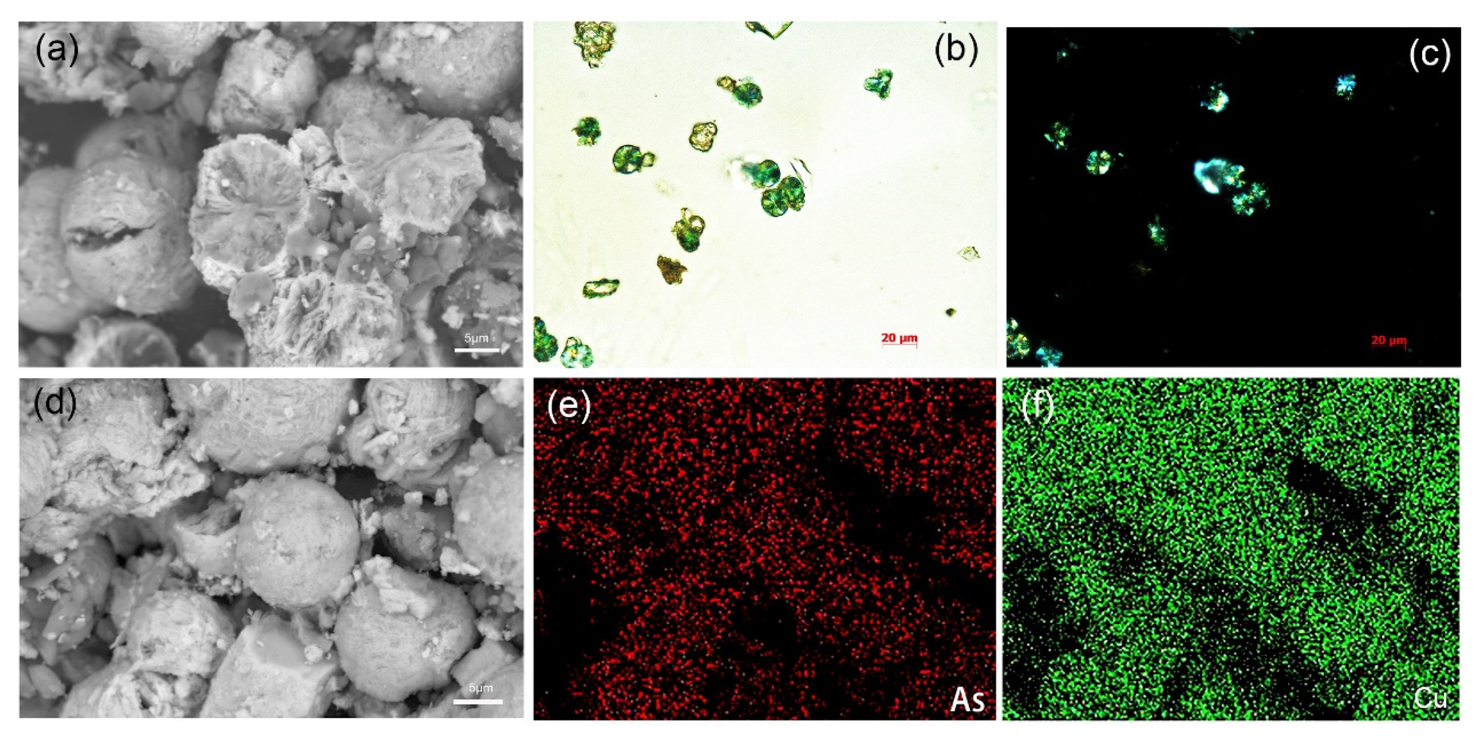 Coatings 13 01298 g007