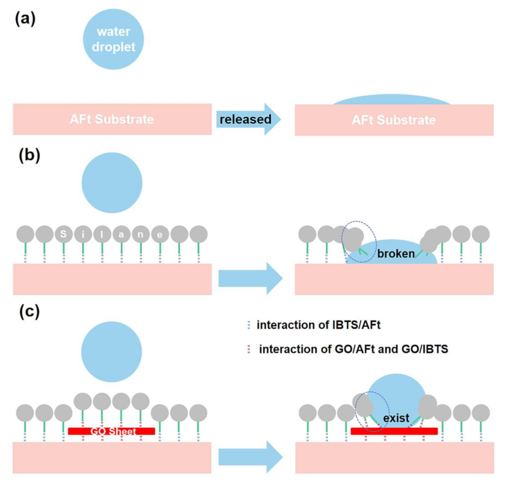 Coatings 13 01299 g017