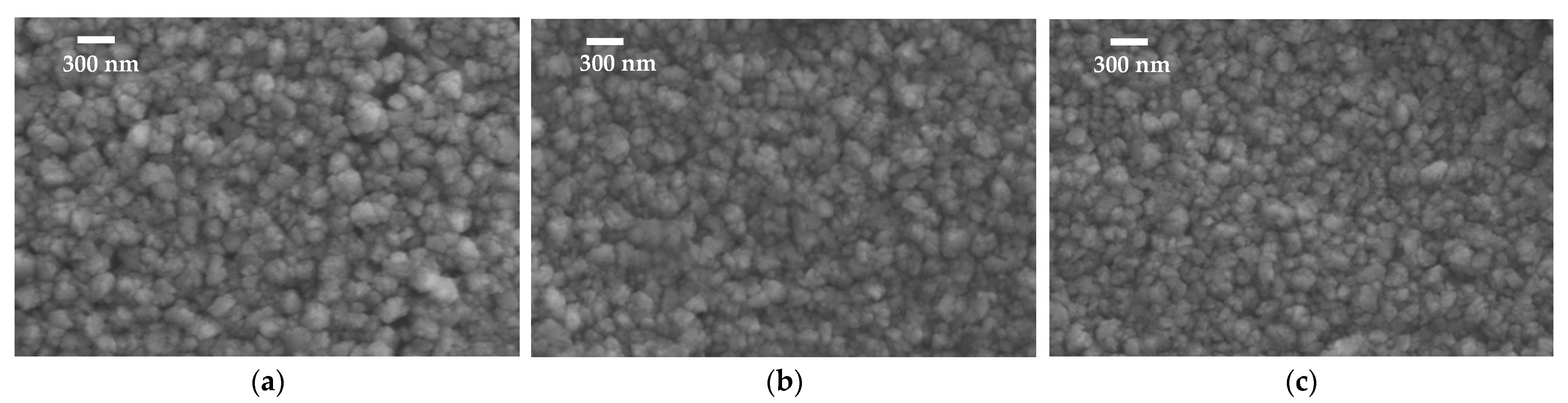 Coatings 13 01300 g001