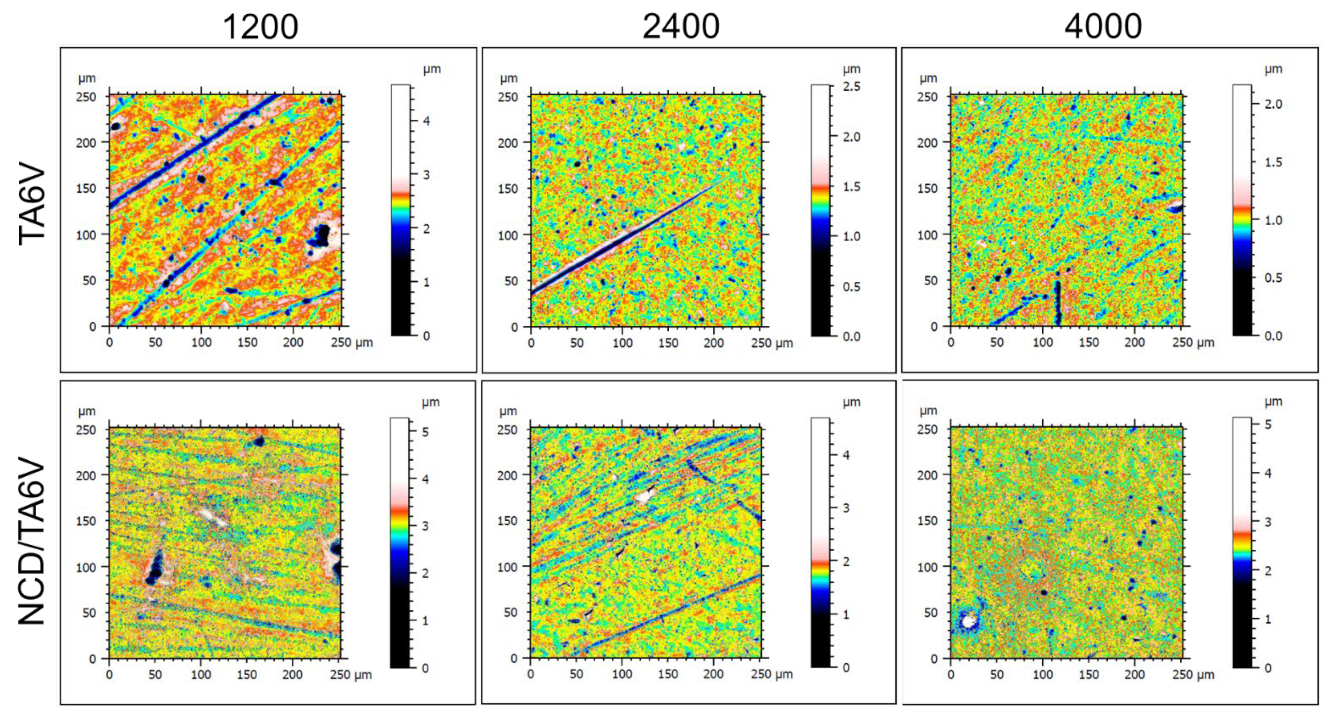 Coatings 13 01300 g006