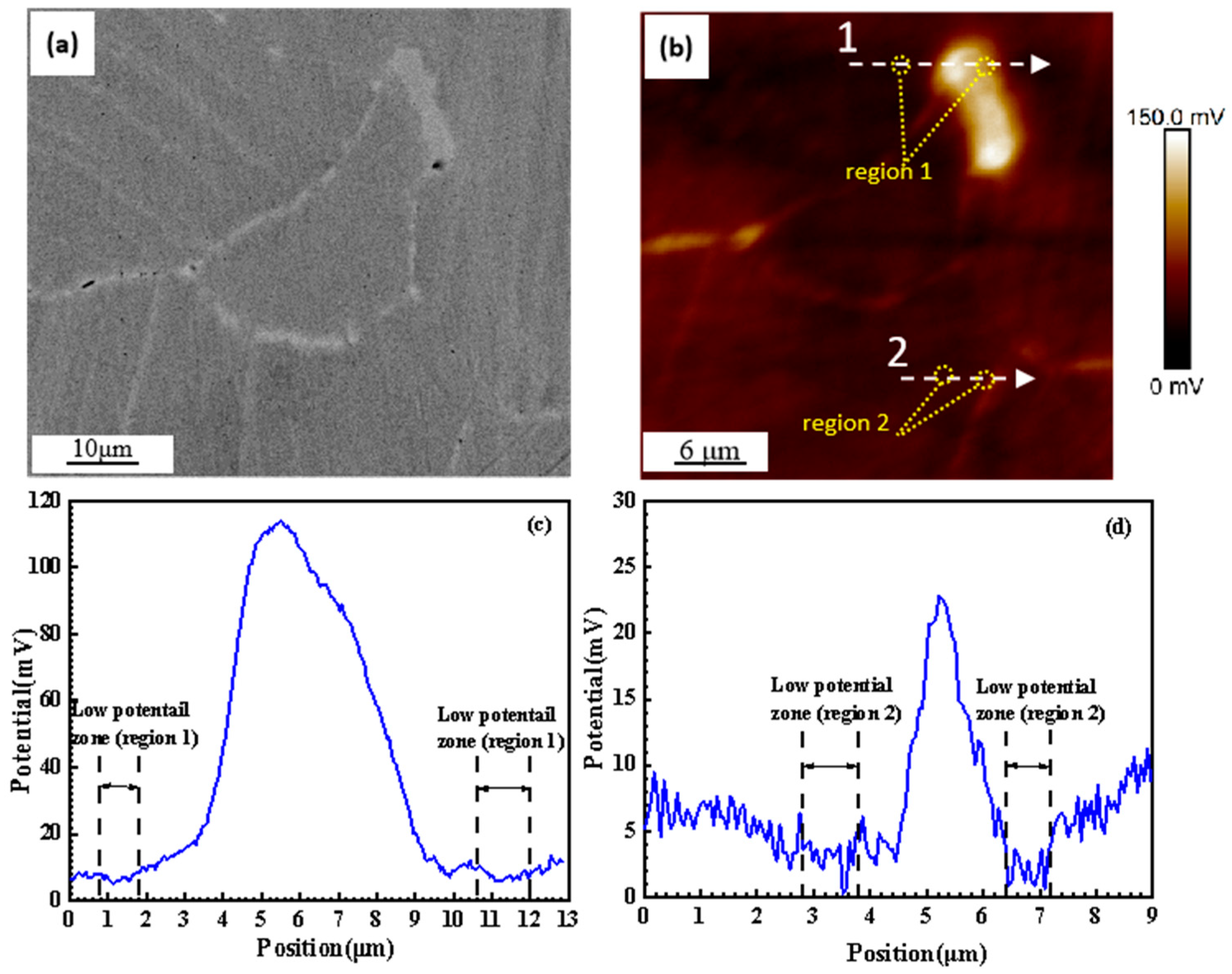 Coatings 13 01304 g003