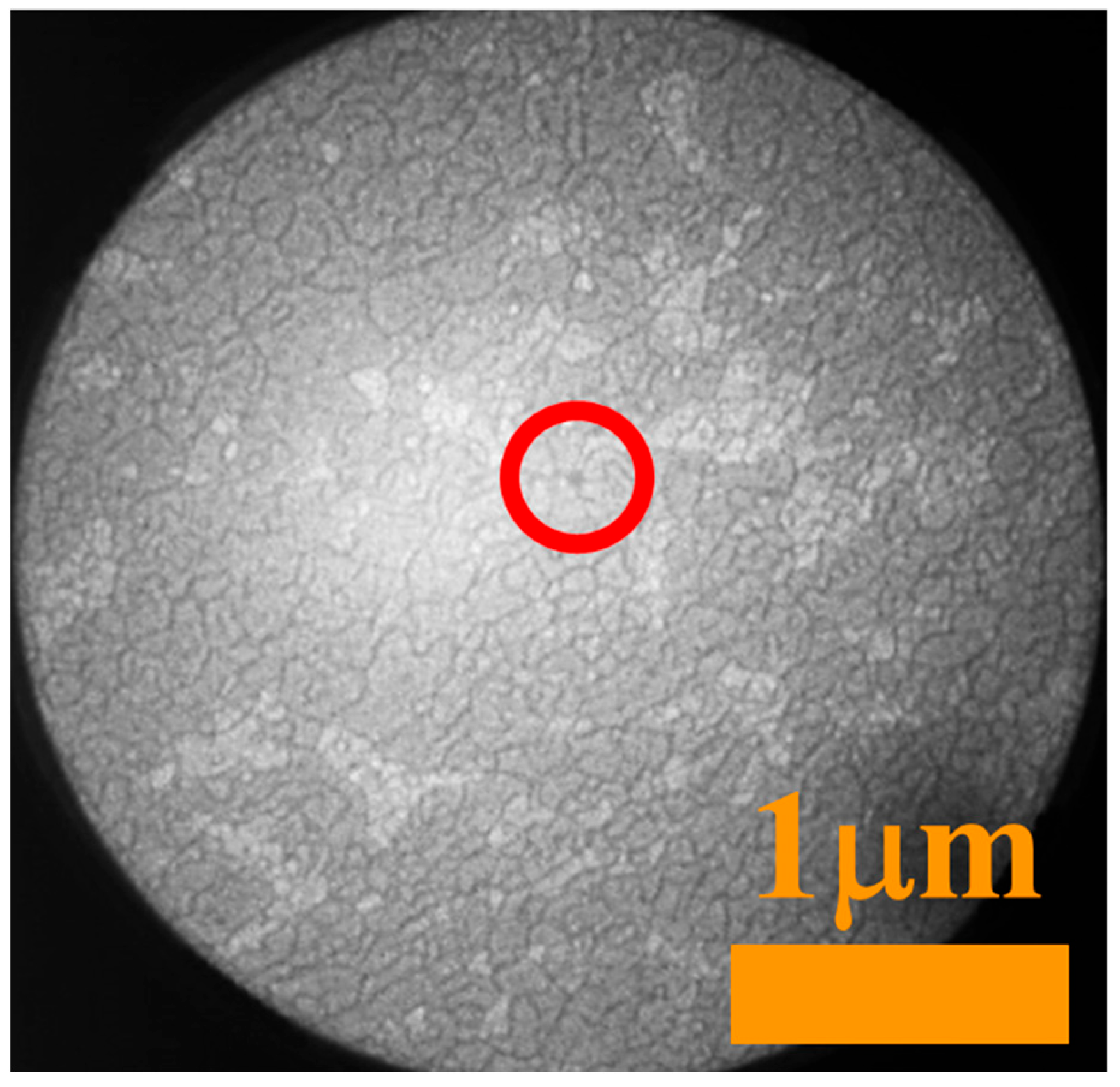 Coatings 13 01306 g002