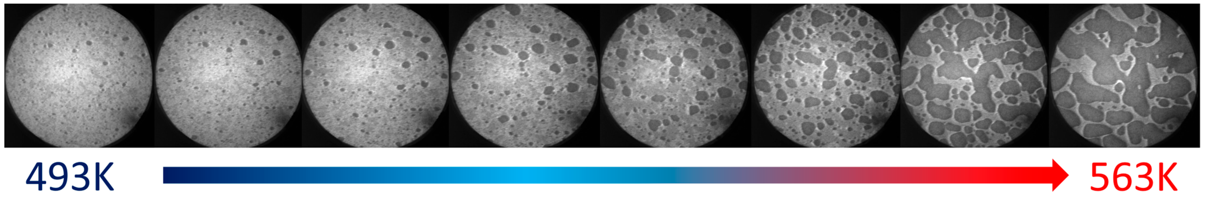 Coatings 13 01306 g003