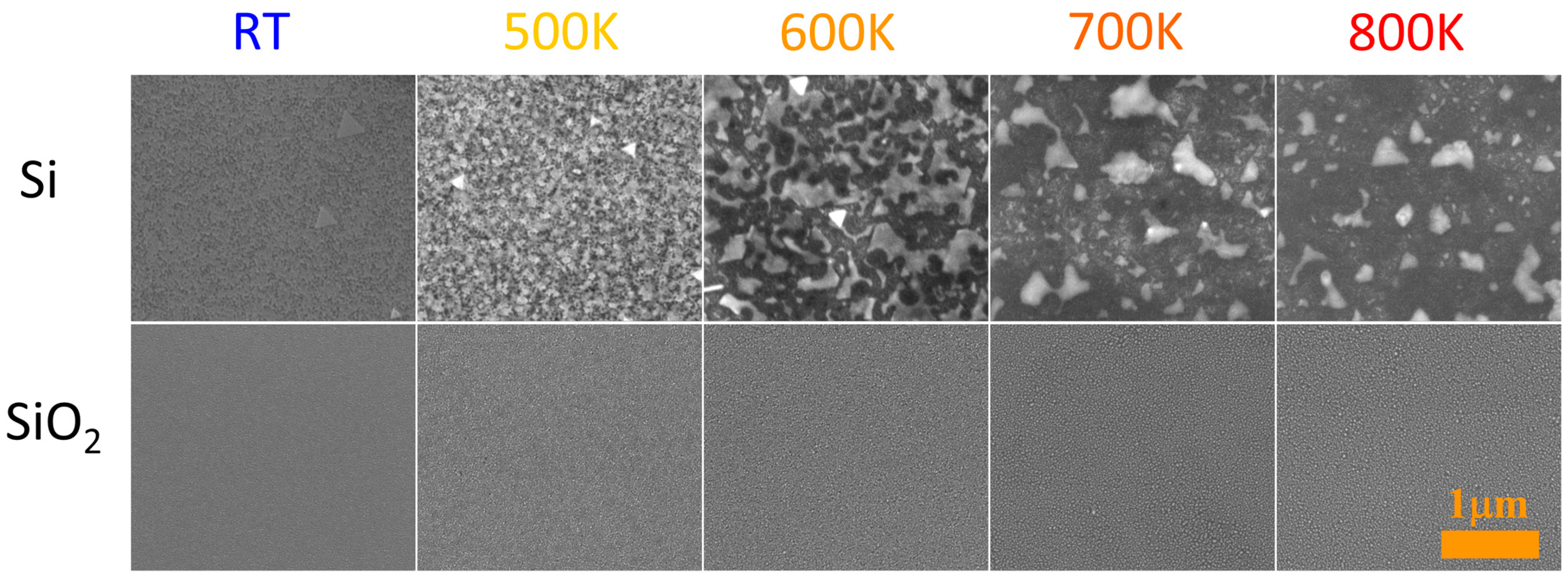 Coatings 13 01306 g005