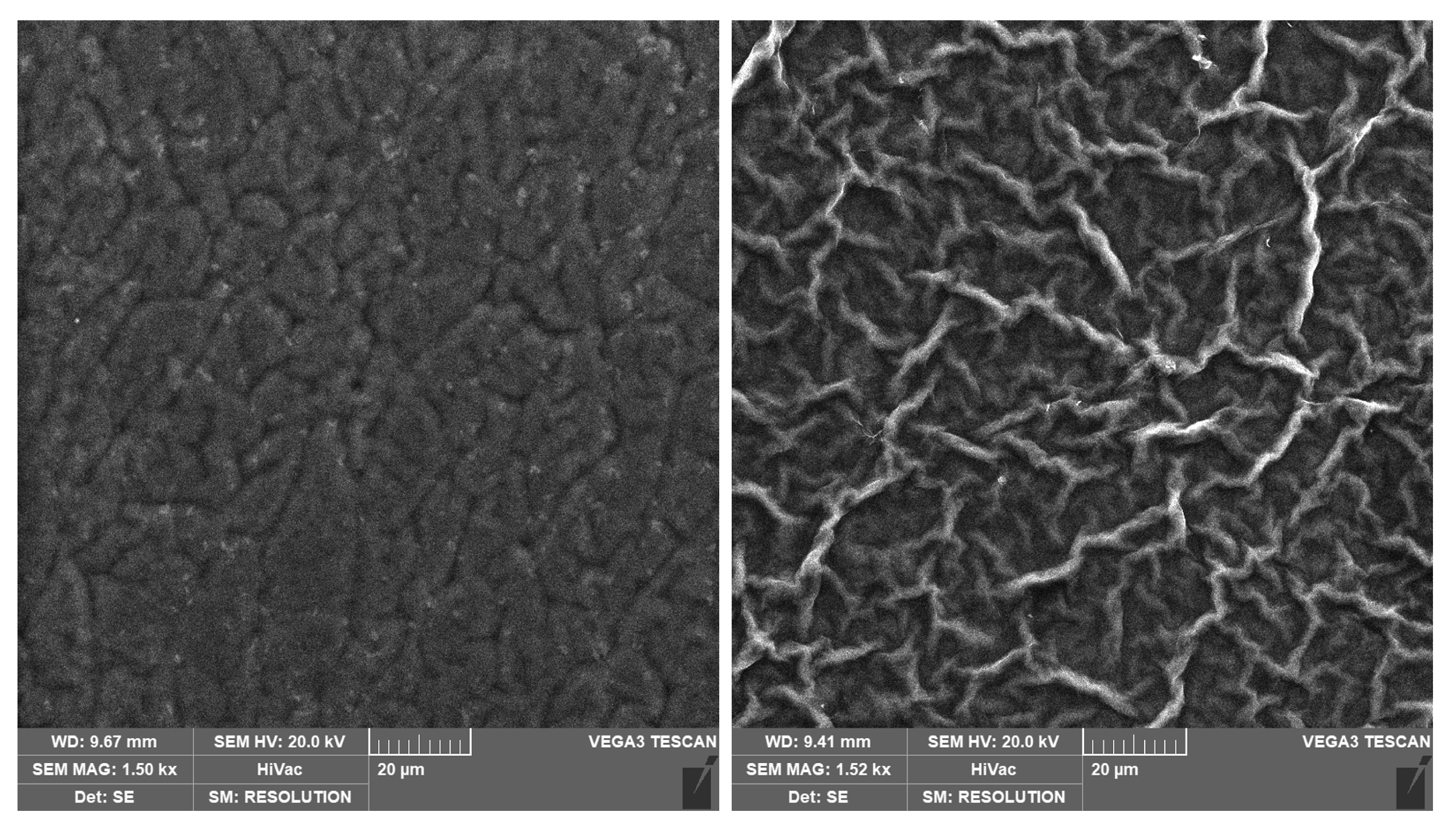 Coatings 13 01310 g007