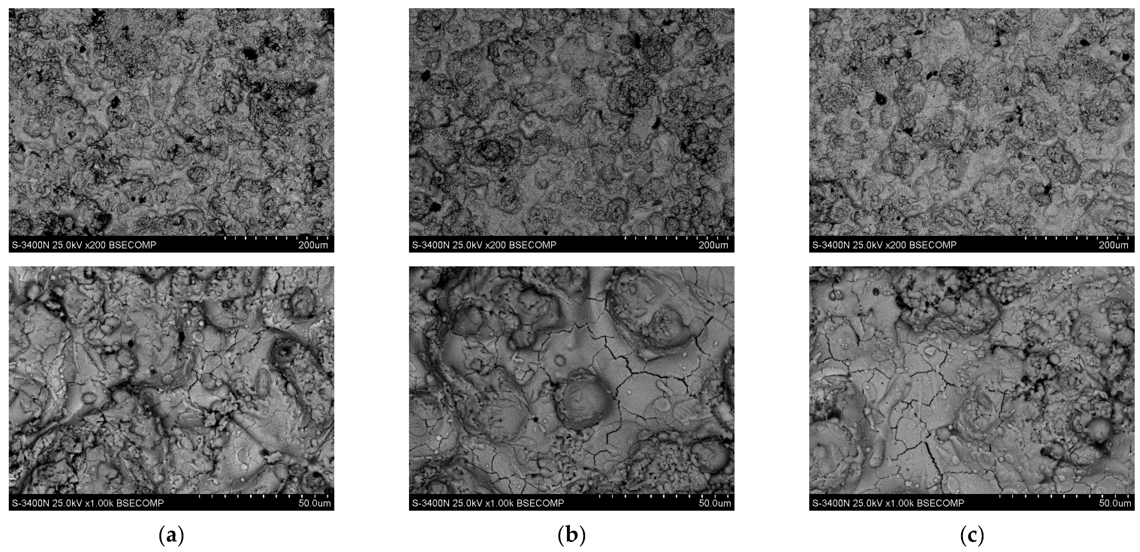 Coatings 13 01311 g003