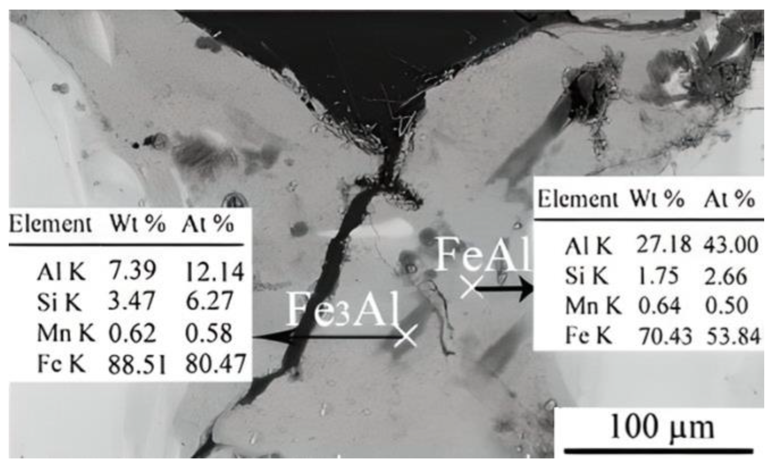 Coatings 13 01313 g005