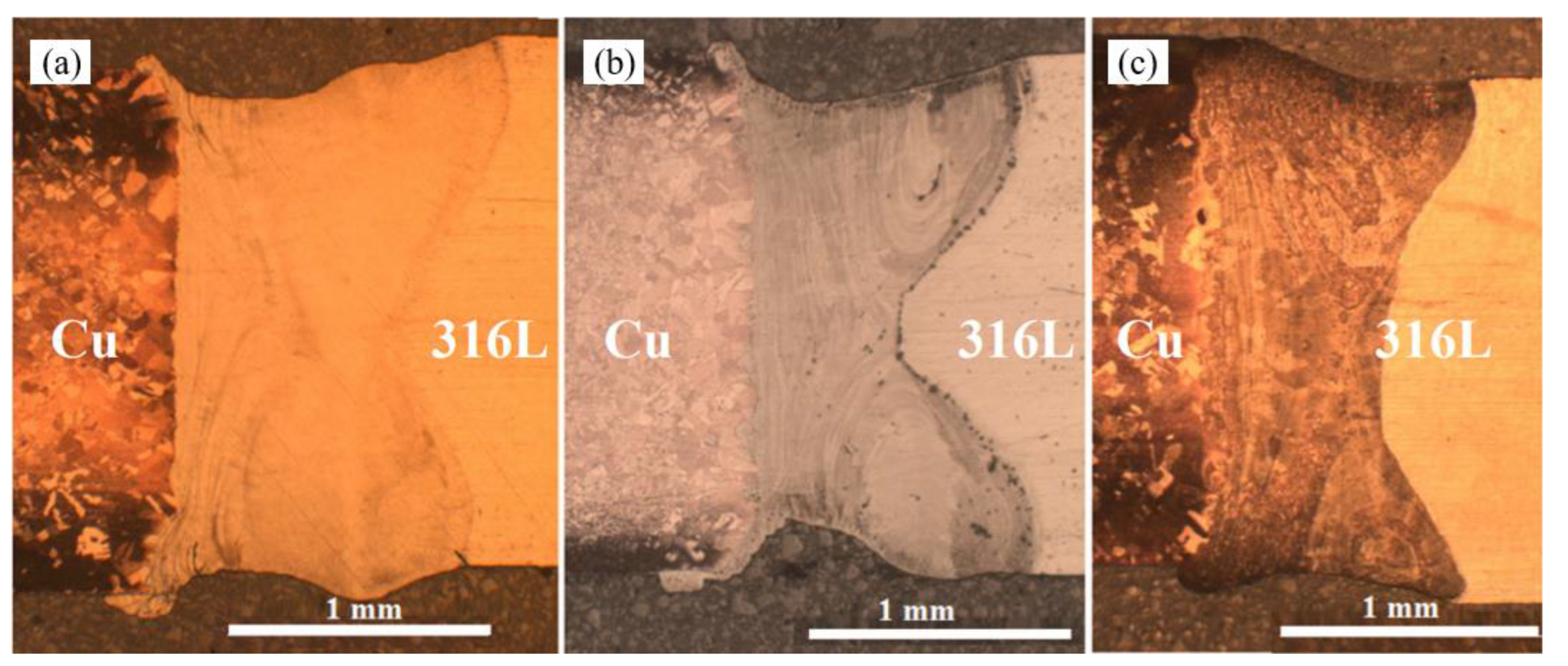 Coatings 13 01313 g017