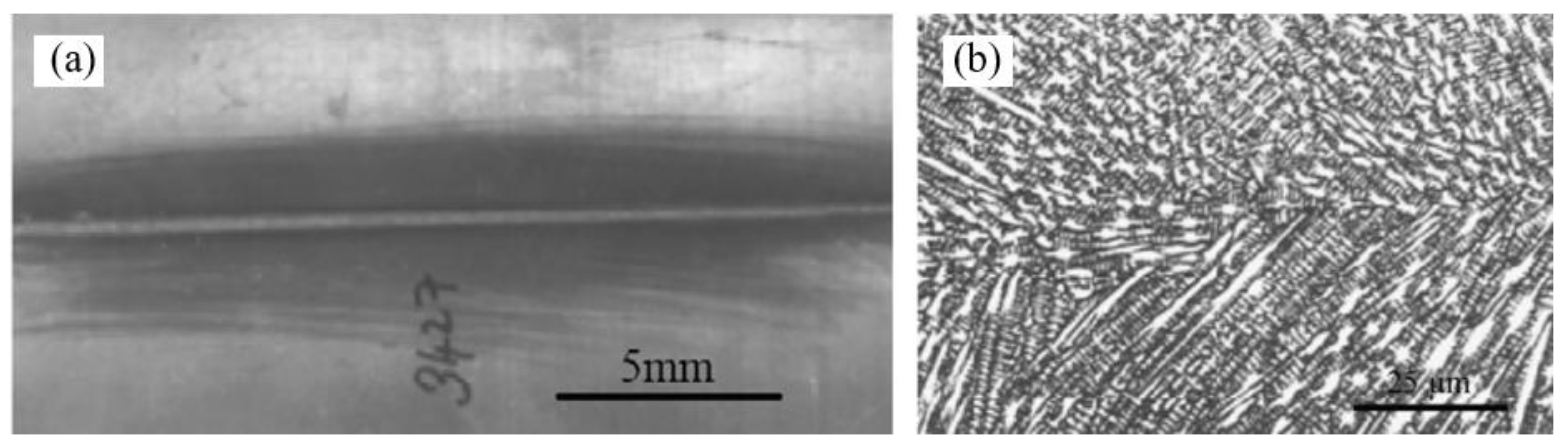 Coatings 13 01313 g029