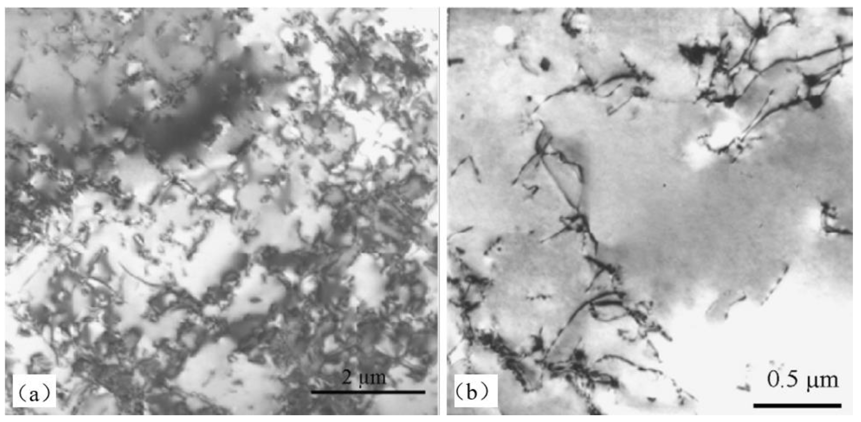 Coatings 13 01313 g030