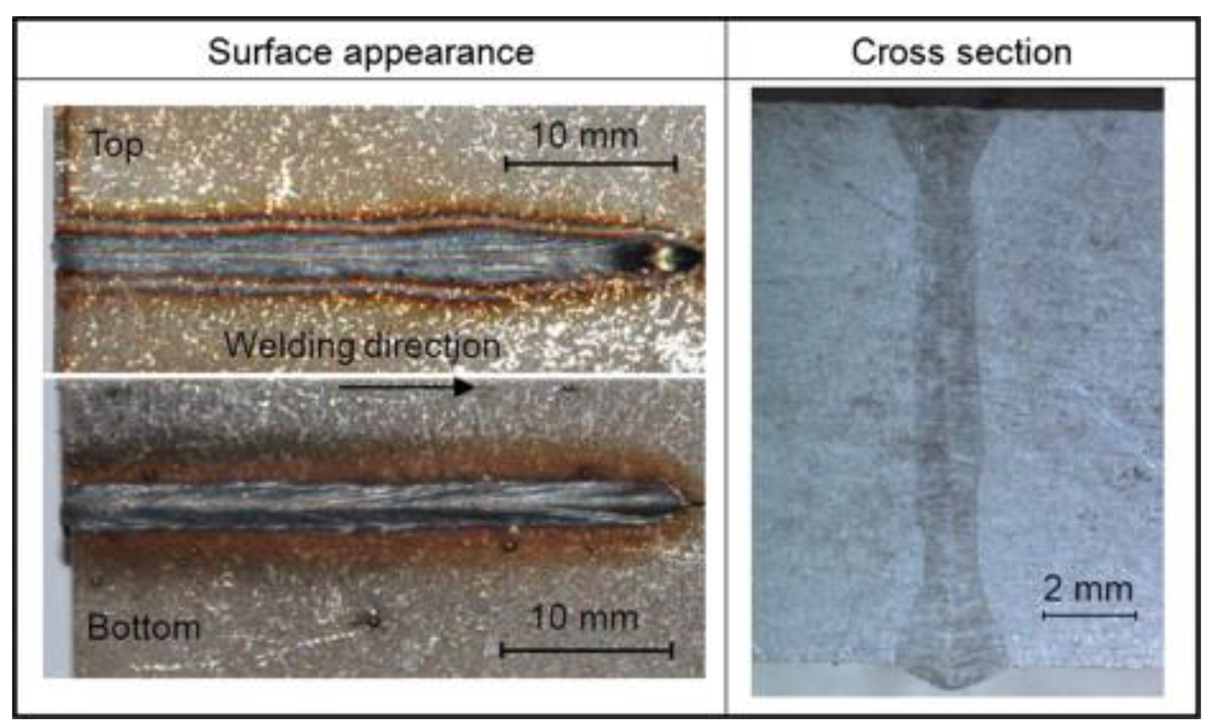 Coatings 13 01313 g031
