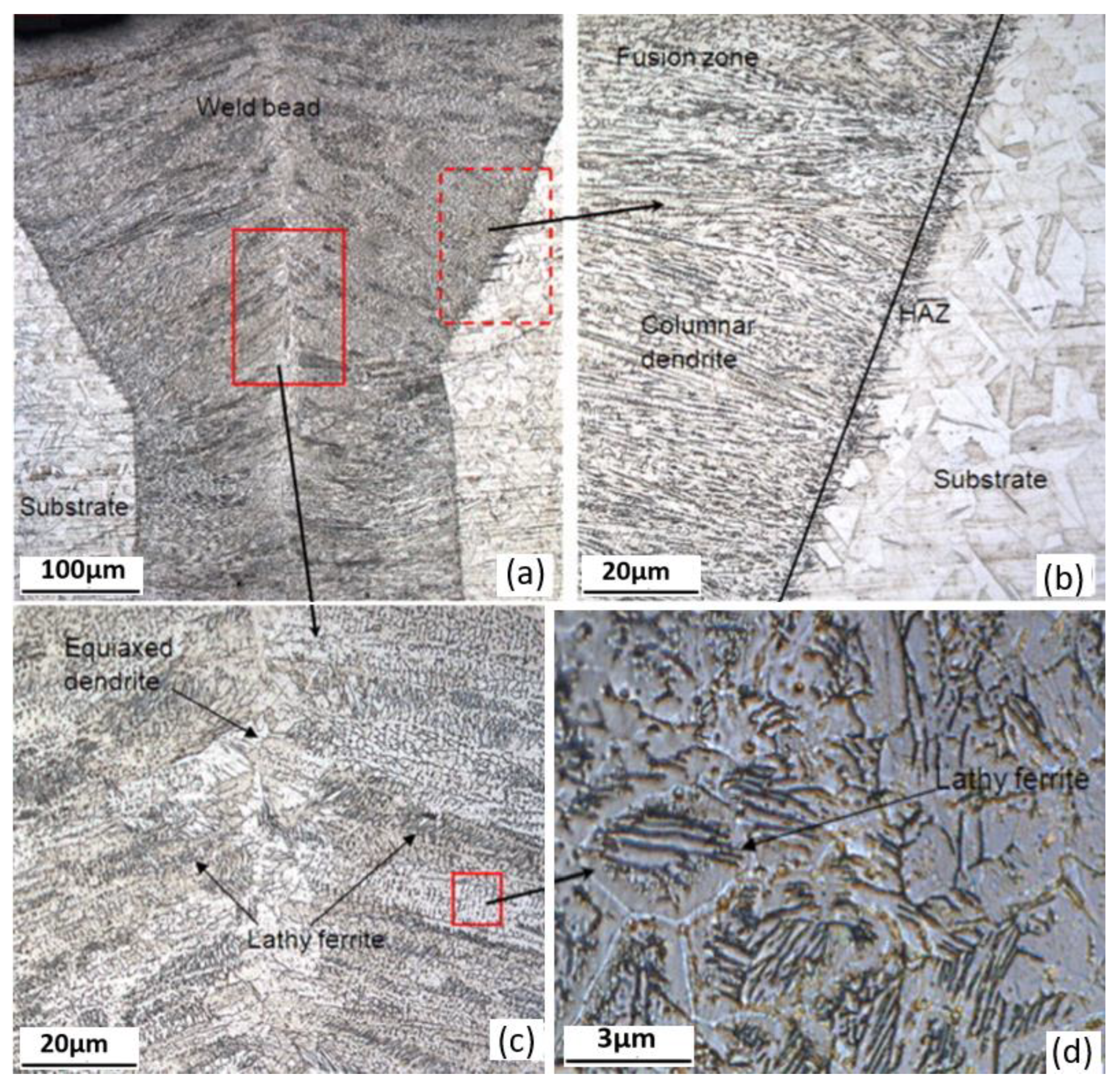 Coatings 13 01313 g033