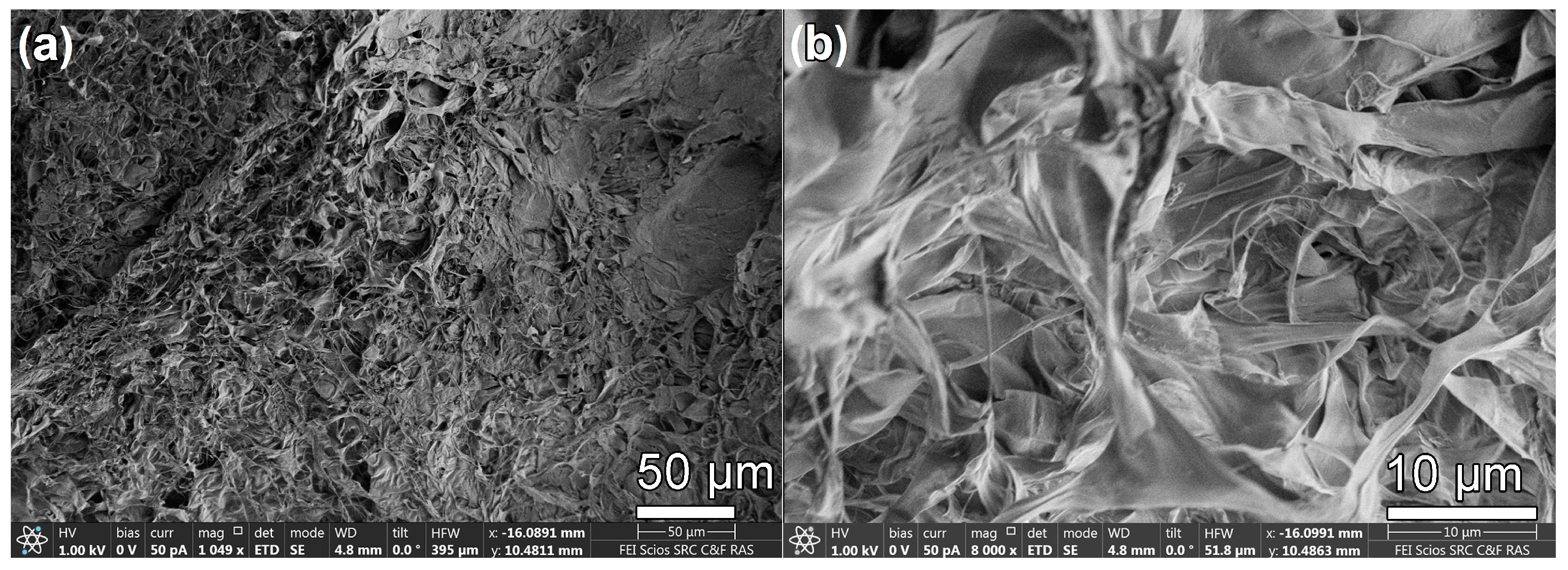 Coatings 13 01315 g001 Coatings 13 01315 g001