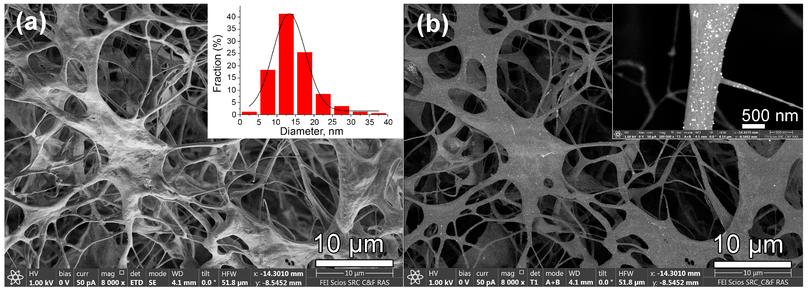 Coatings 13 01315 g002 Coatings 13 01315 g002