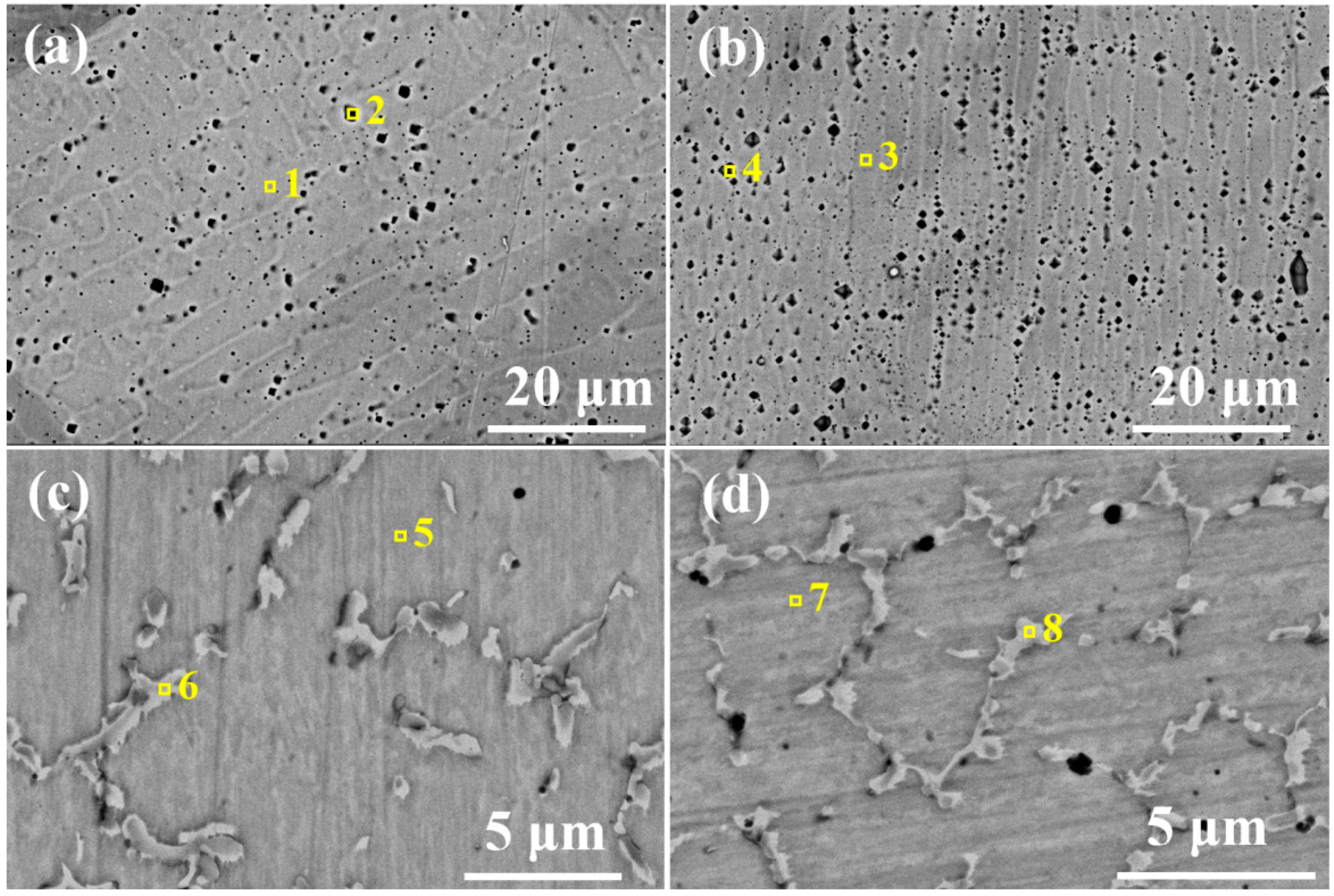 Coatings 13 01320 g002