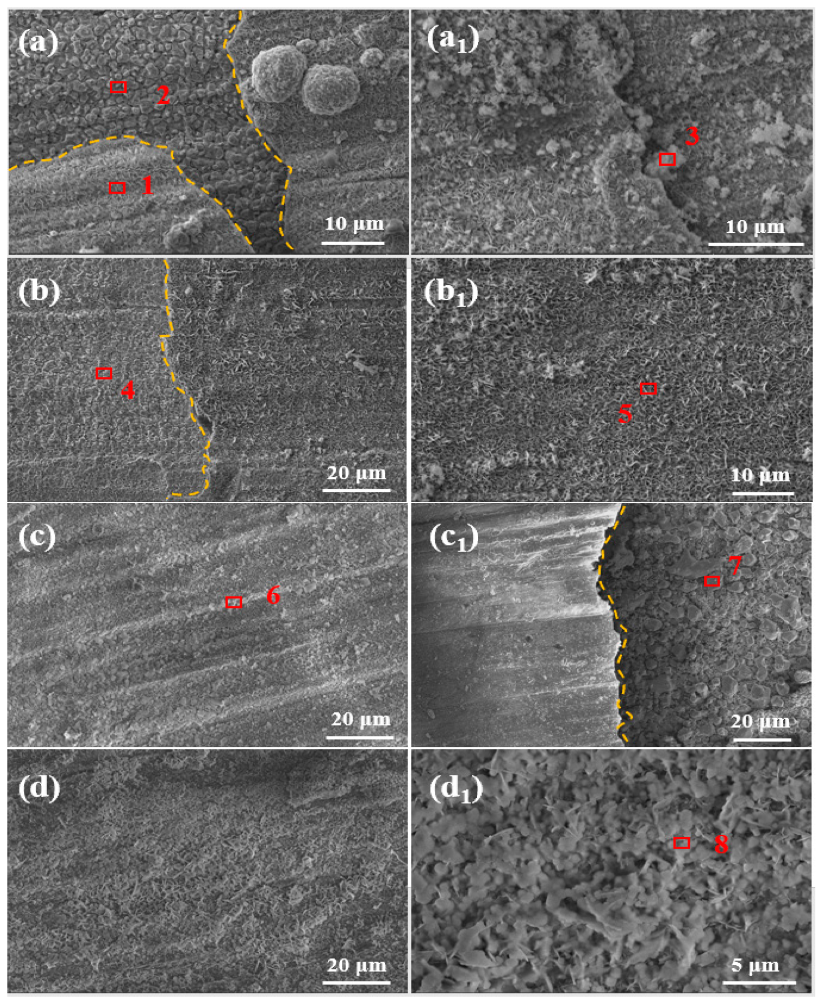 Coatings 13 01320 g005