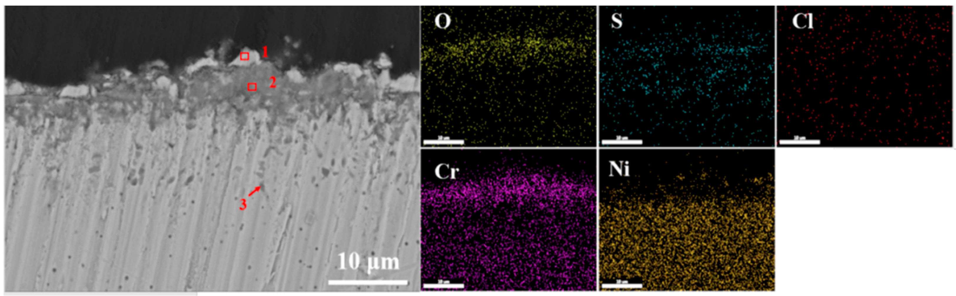 Coatings 13 01320 g006