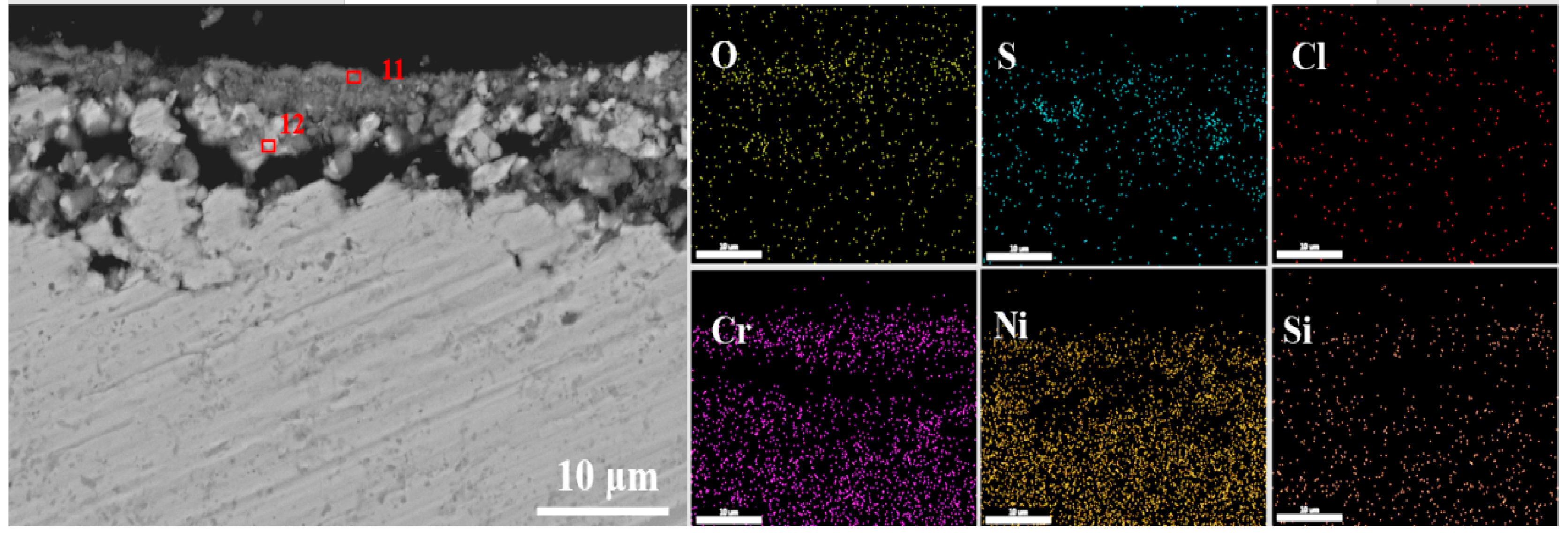 Coatings 13 01320 g009