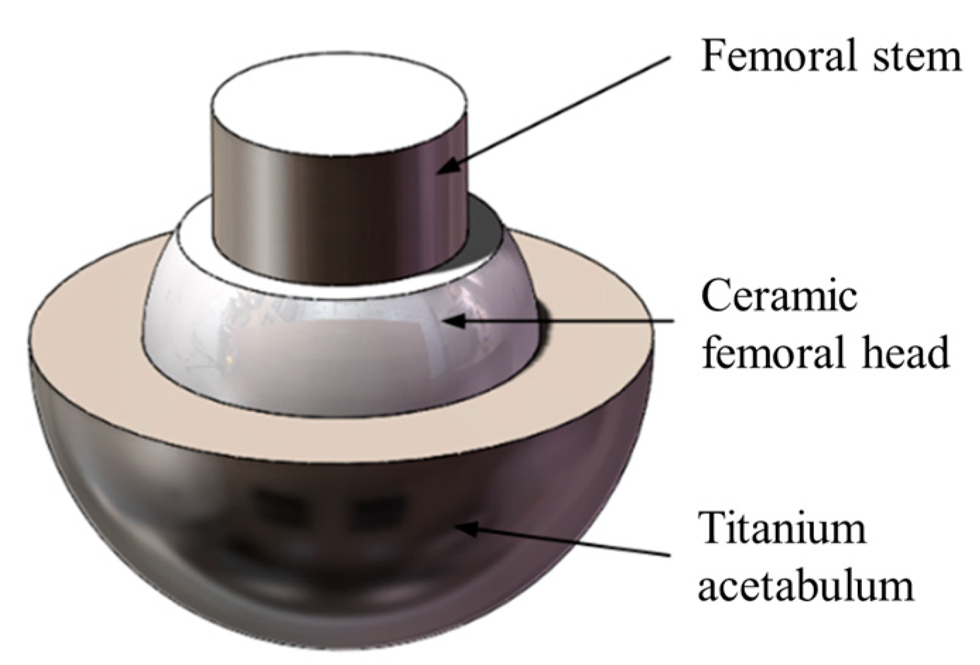 Coatings 13 01321 g003