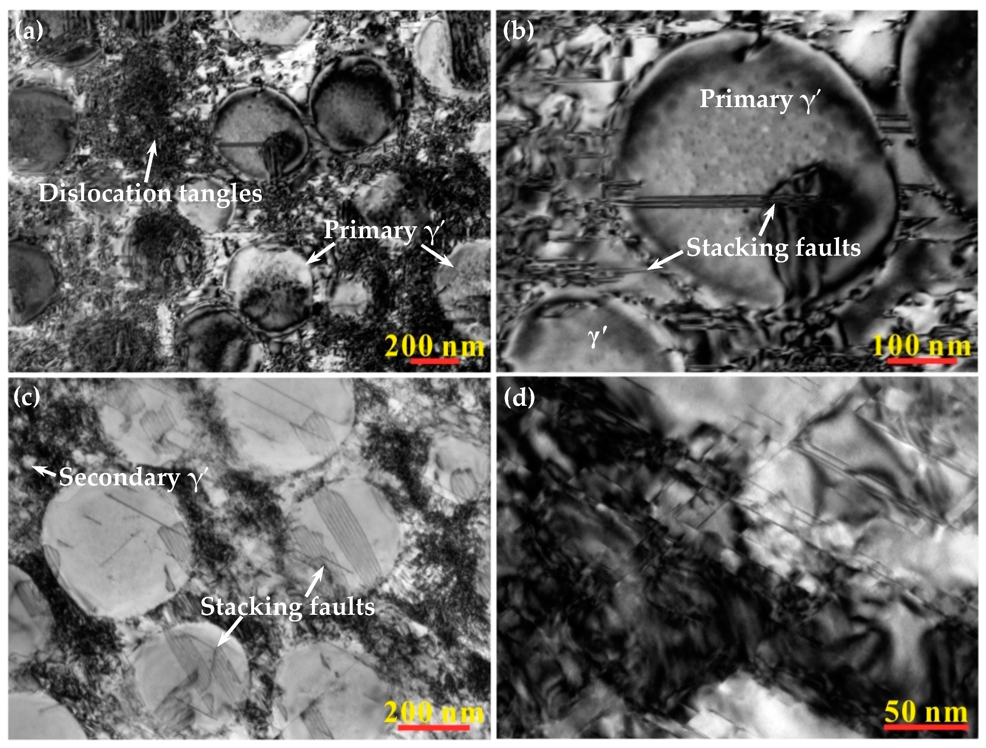 Coatings 13 01325 g002