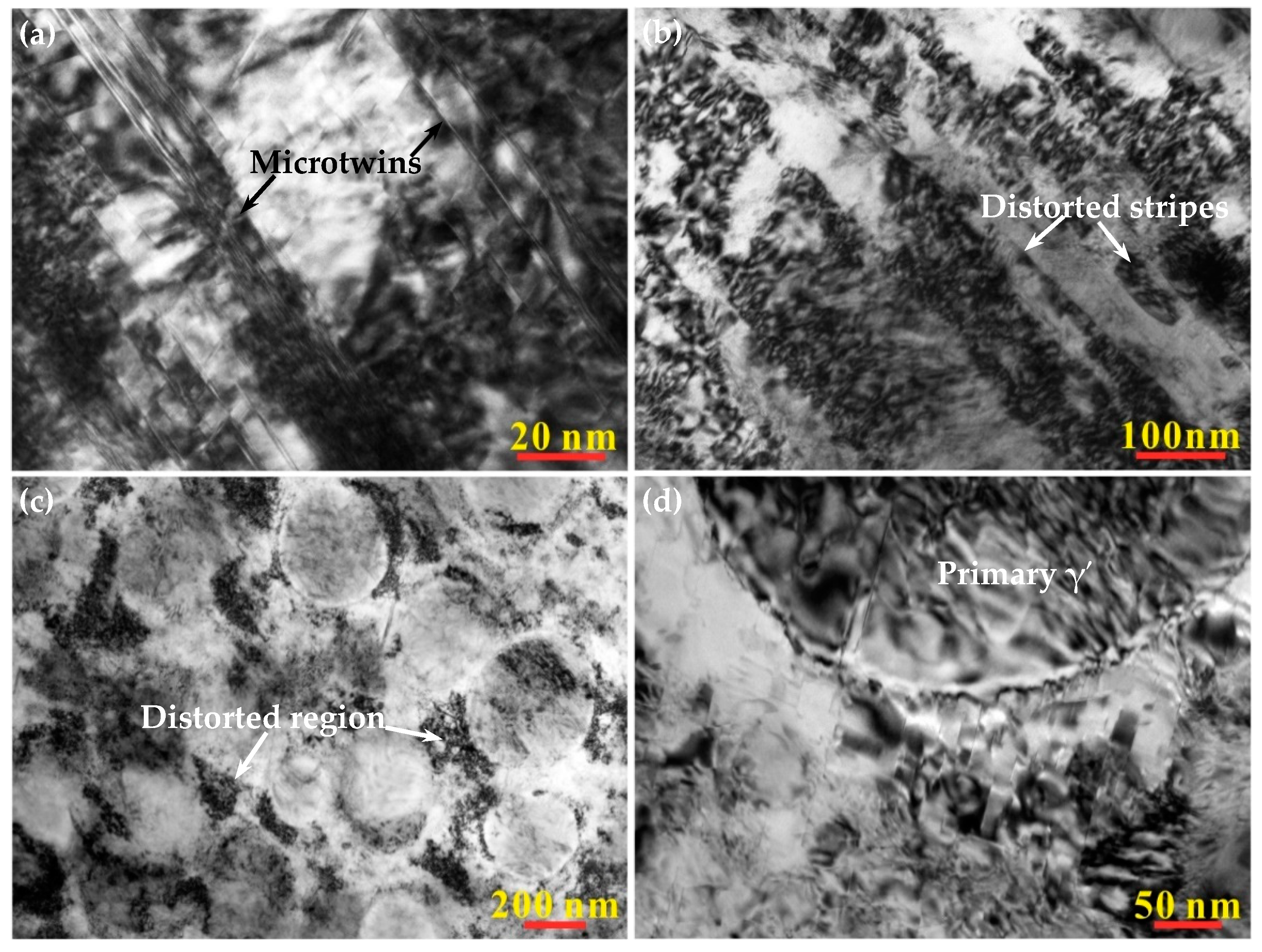 Coatings 13 01325 g003