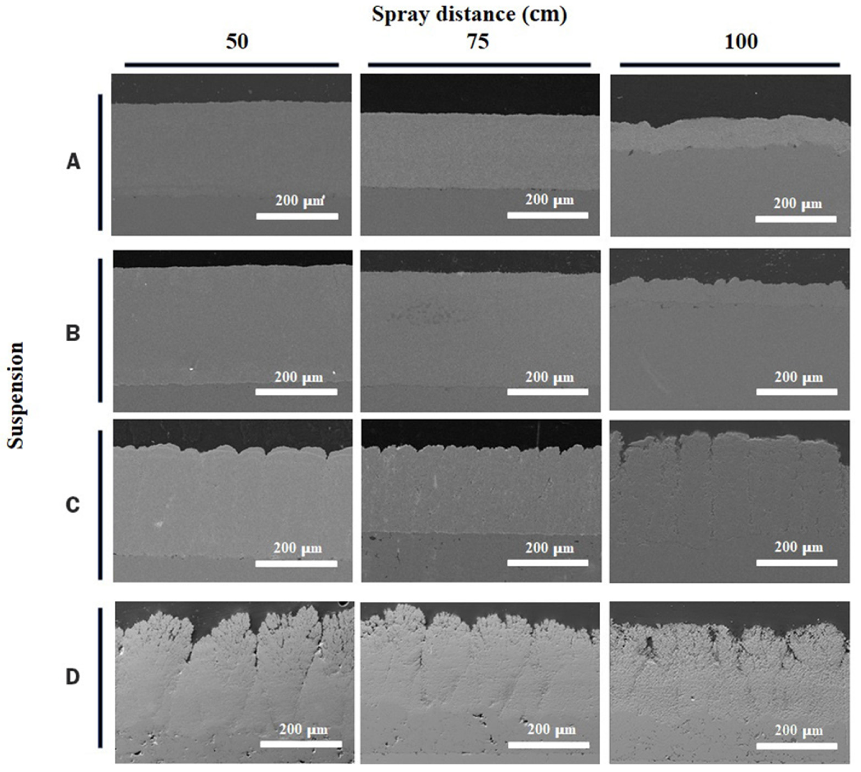 Coatings 13 01330 g007