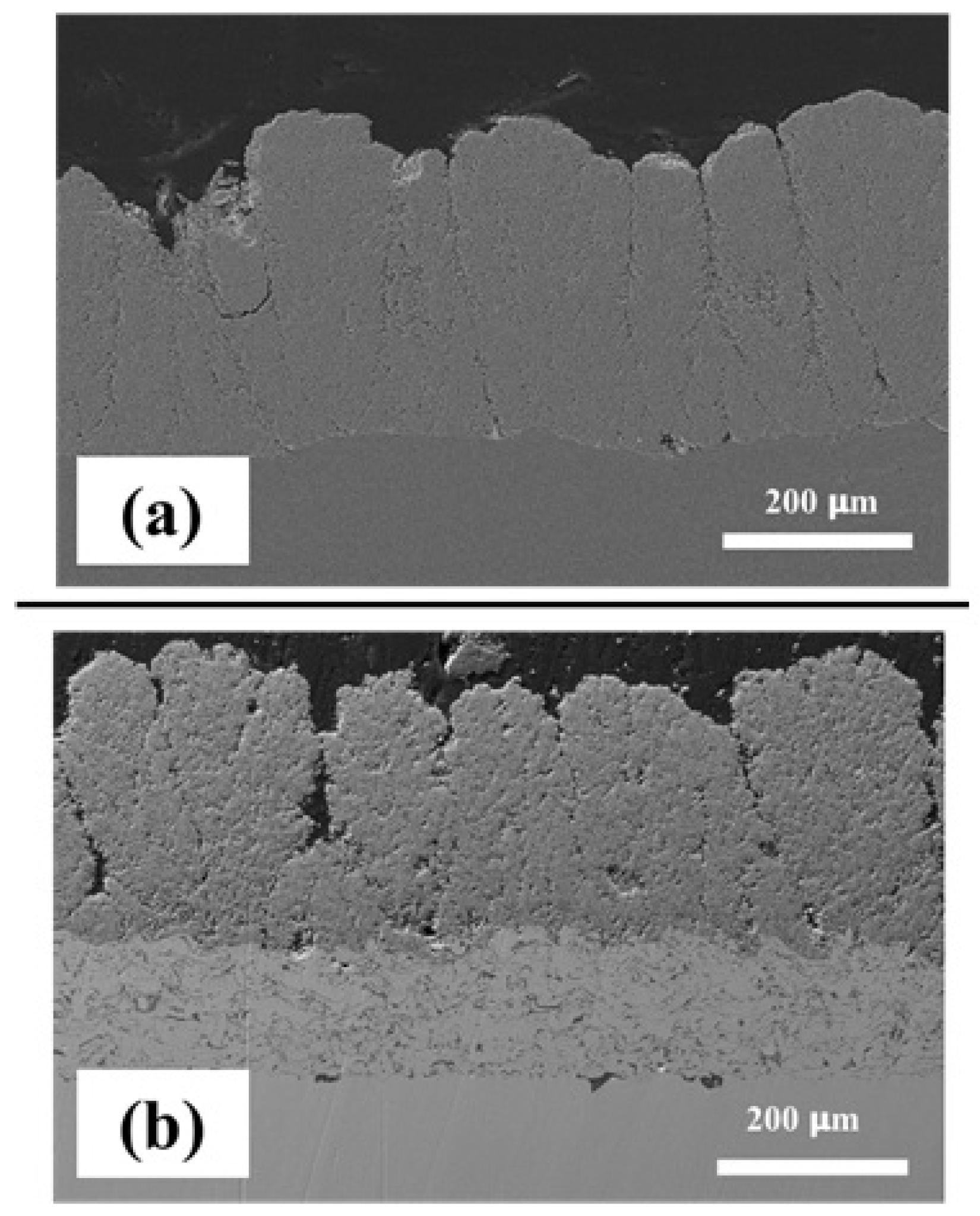 Coatings 13 01330 g008