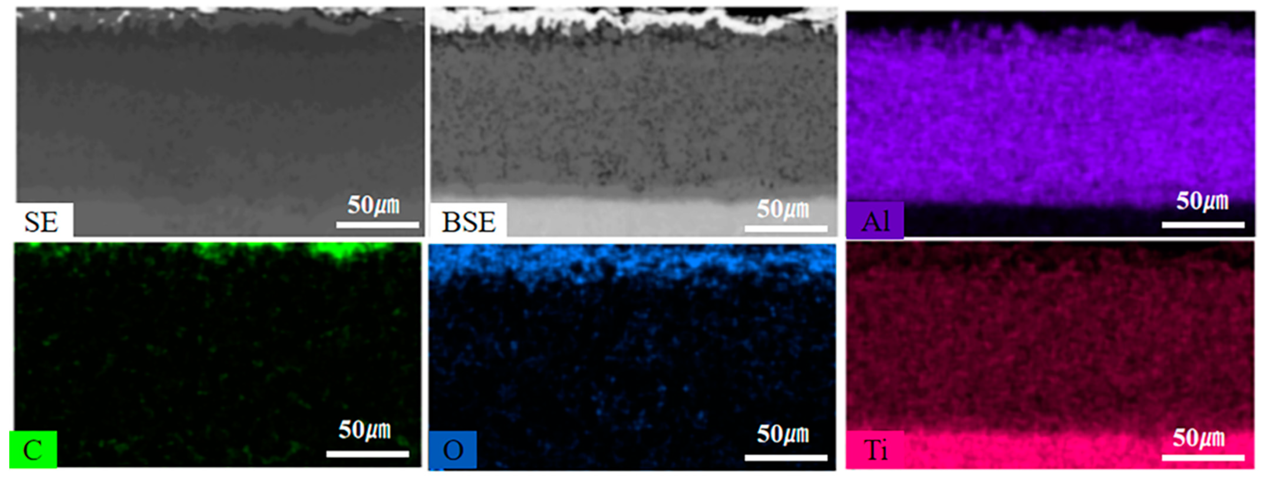 Coatings 13 01336 g004