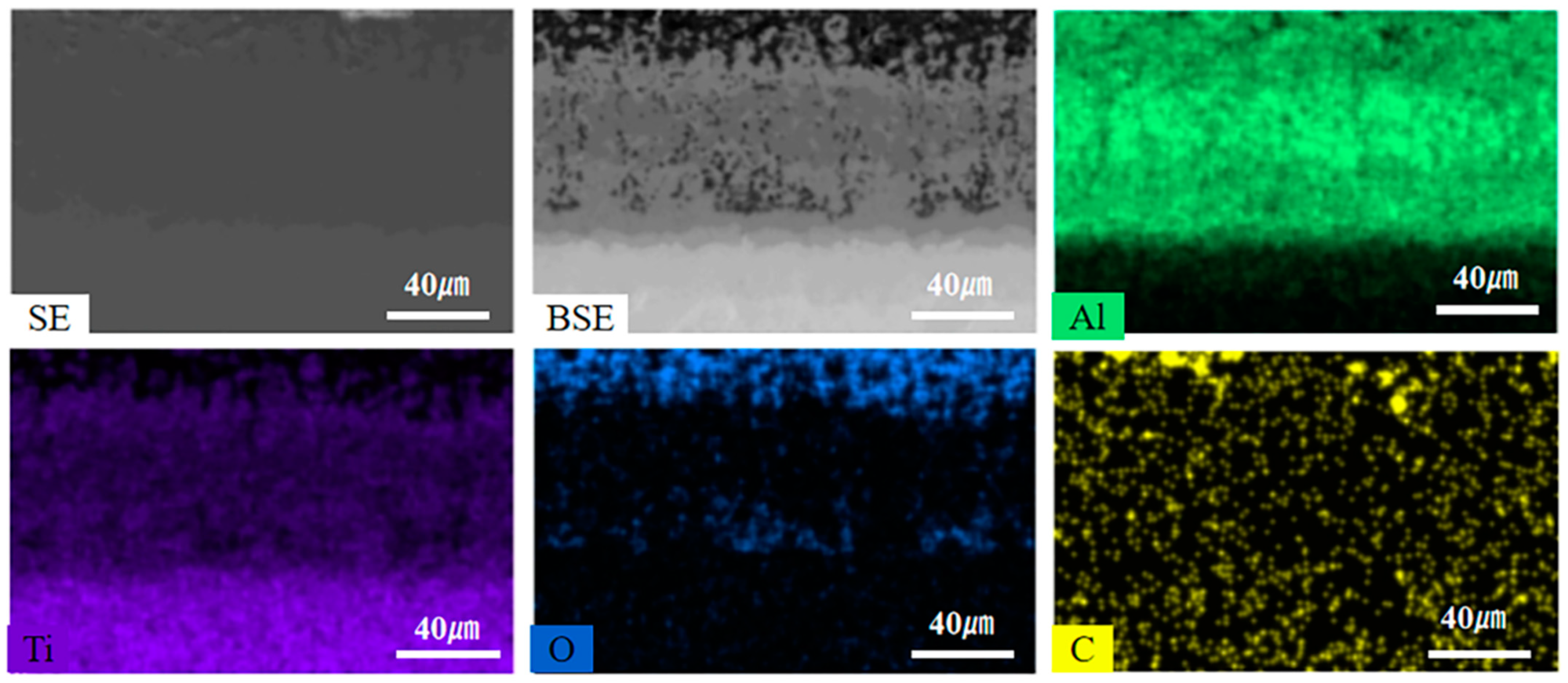 Coatings 13 01336 g008