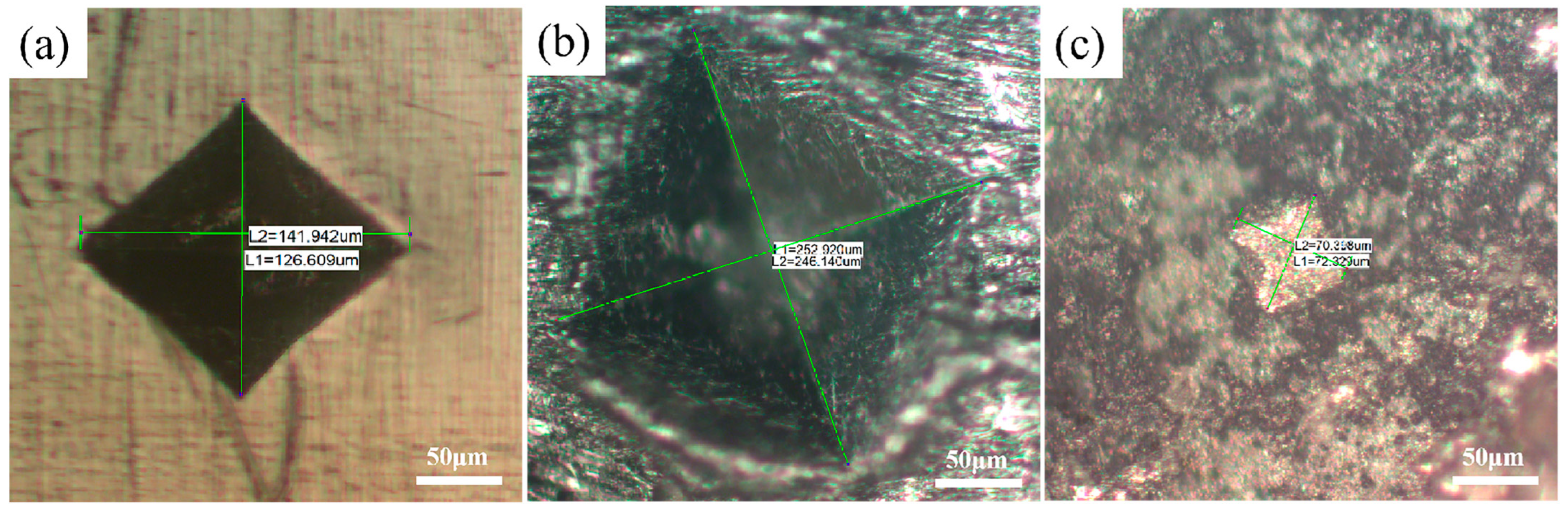 Coatings 13 01336 g011