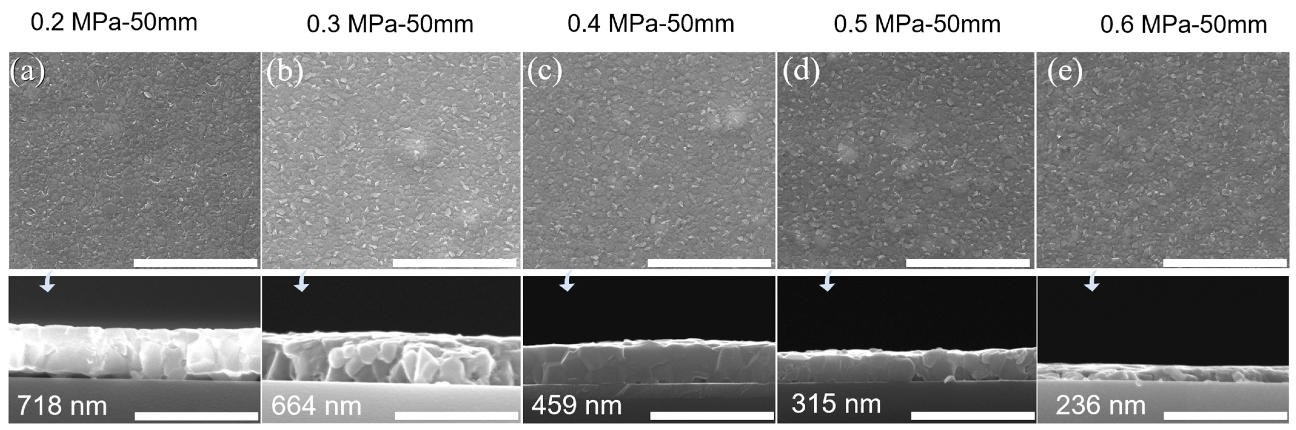 Coatings 13 01338 g003