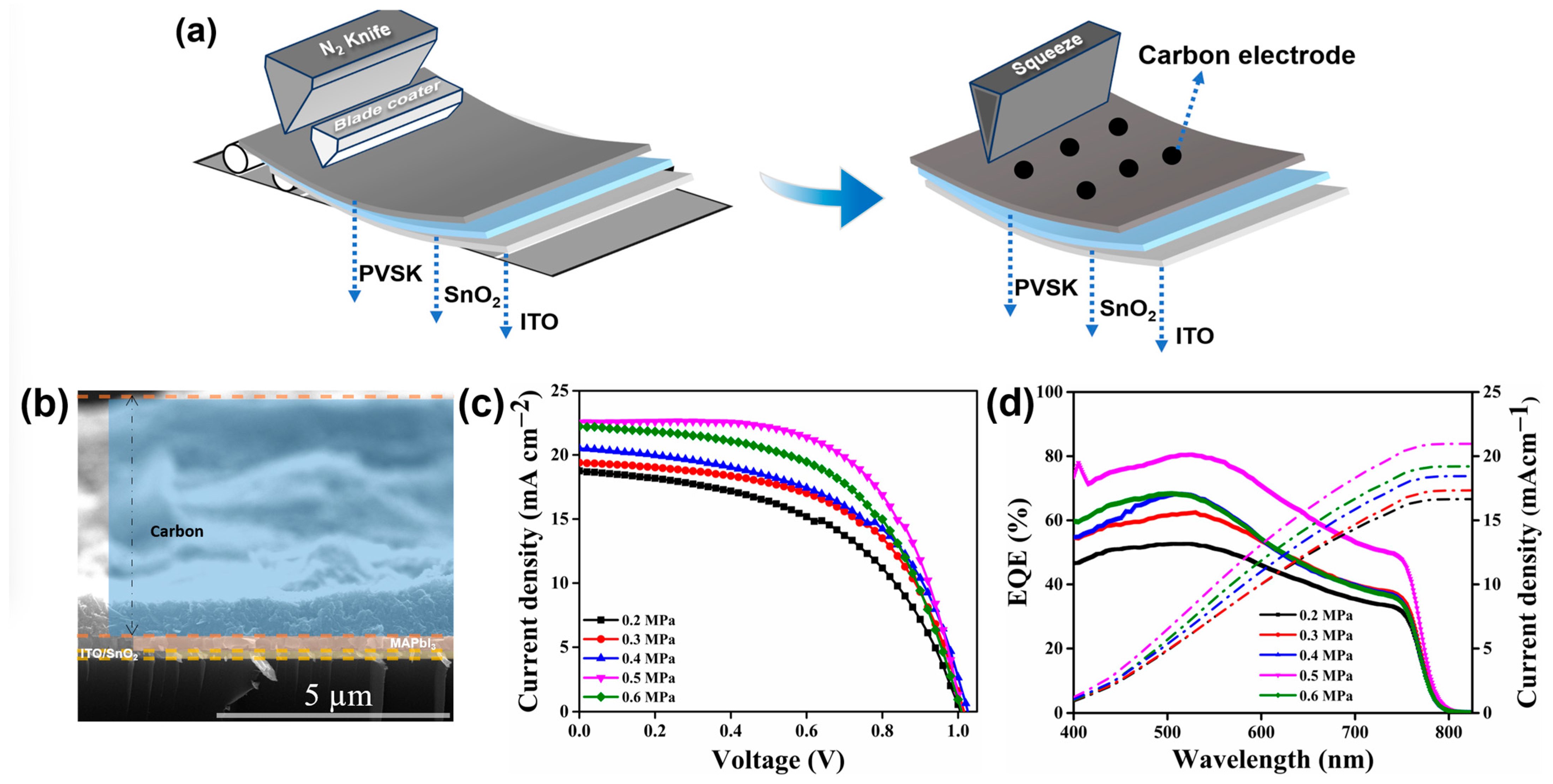 Coatings 13 01338 g005