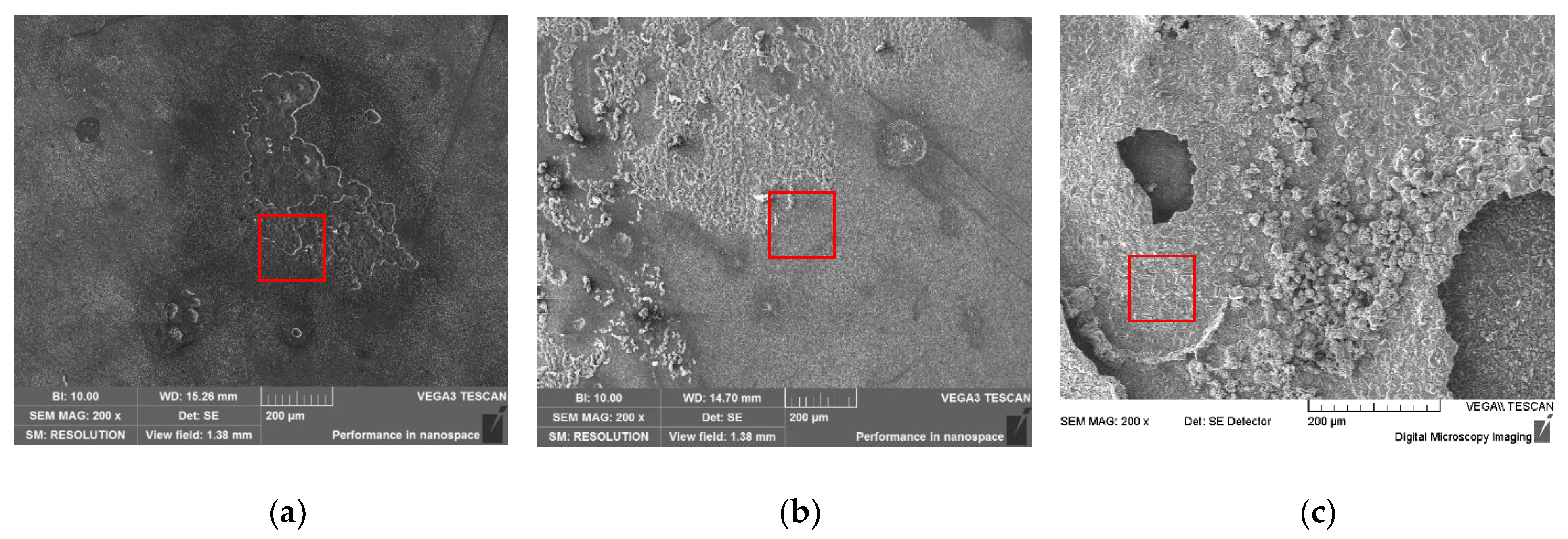 Coatings 13 01342 g007