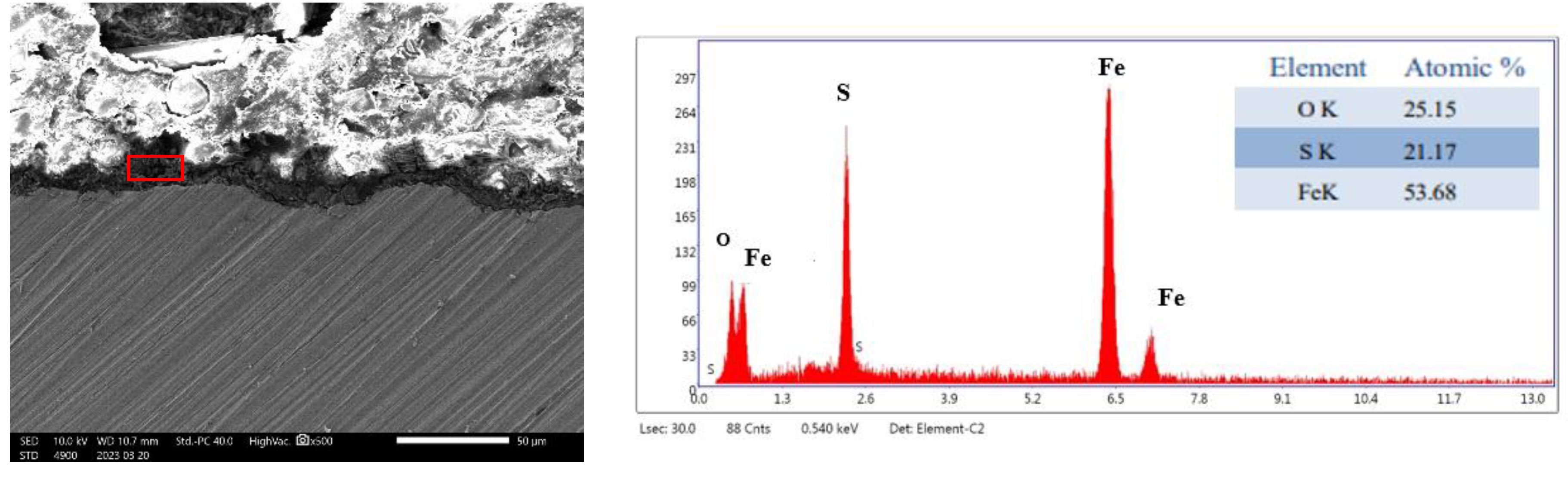 Coatings 13 01342 g008