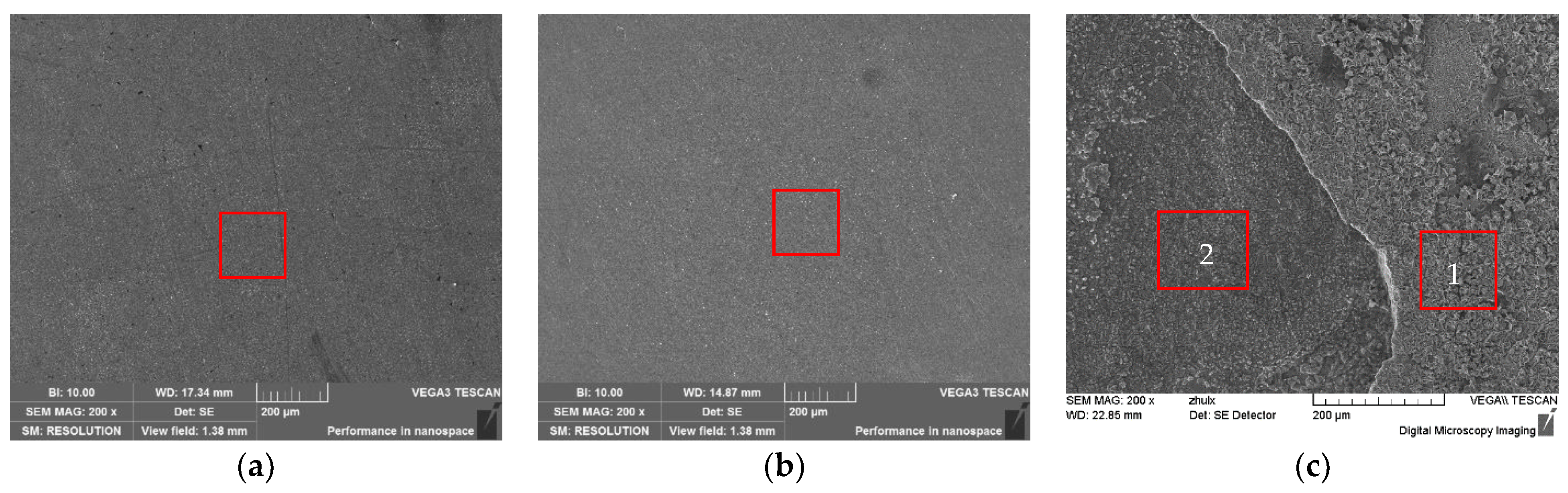 Coatings 13 01342 g010
