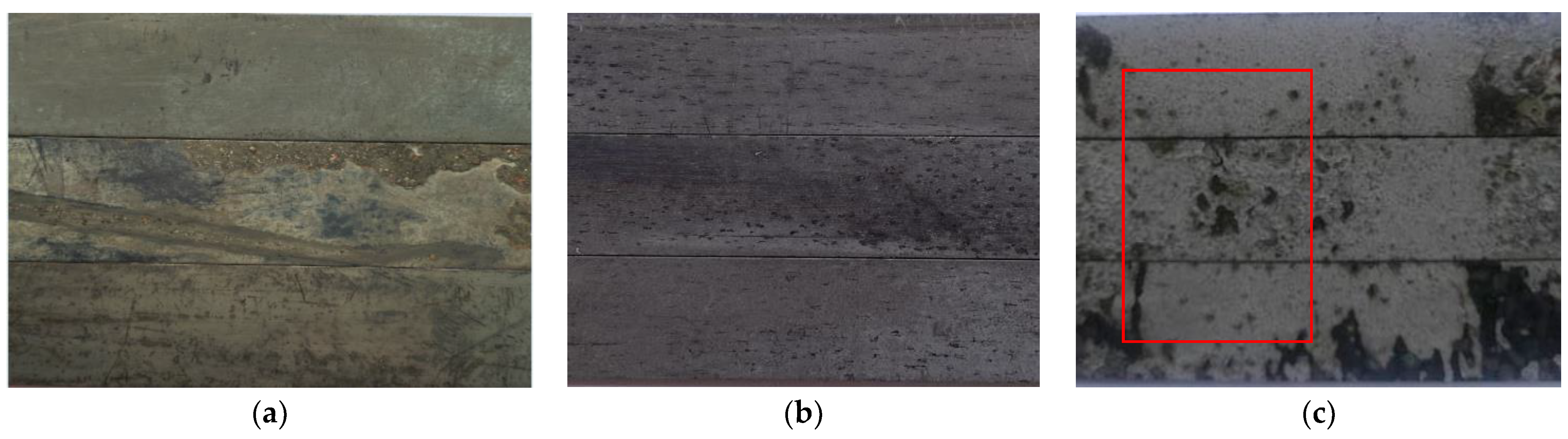 Coatings 13 01342 g012