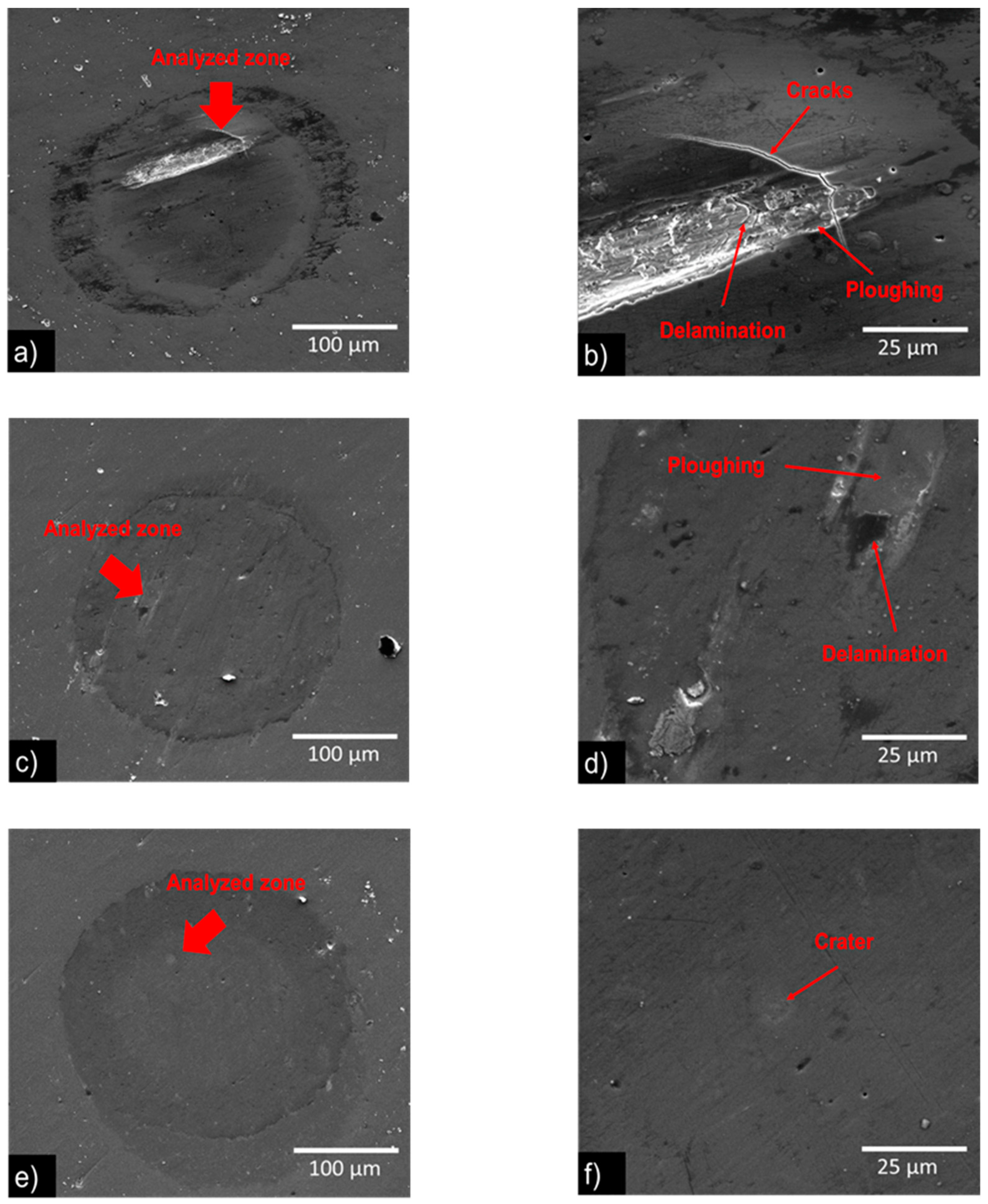 Coatings 13 01344 g006