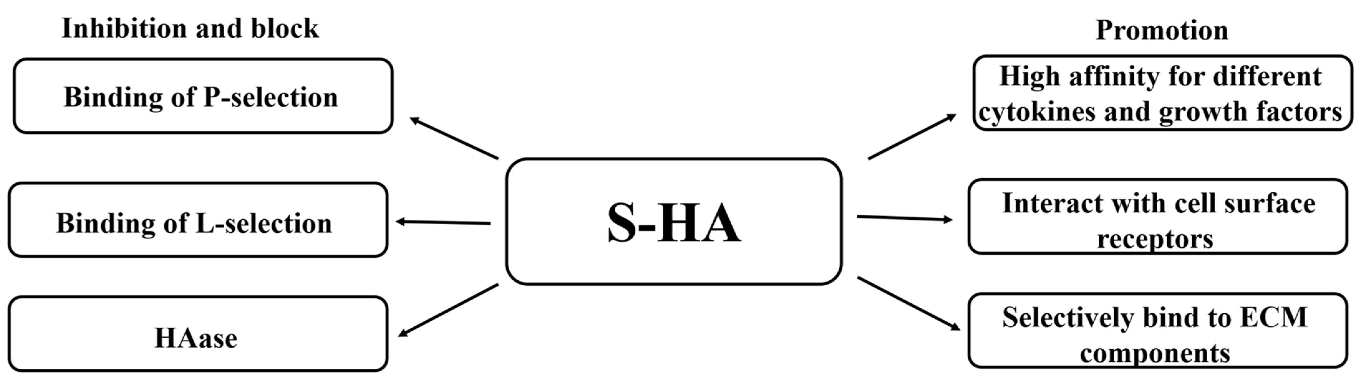 Coatings 13 01345 g003