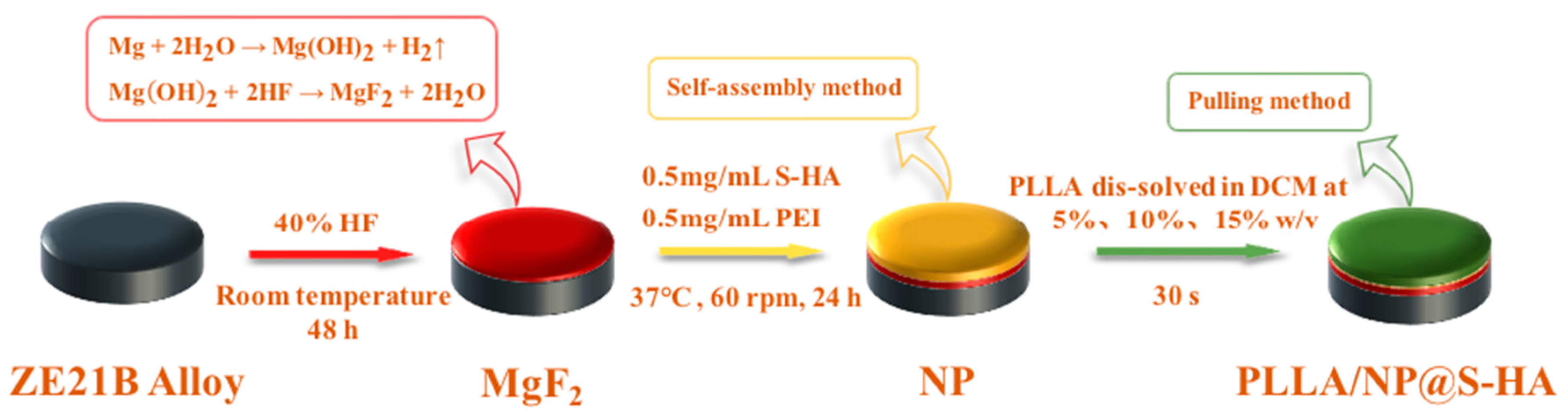 Coatings 13 01345 g006