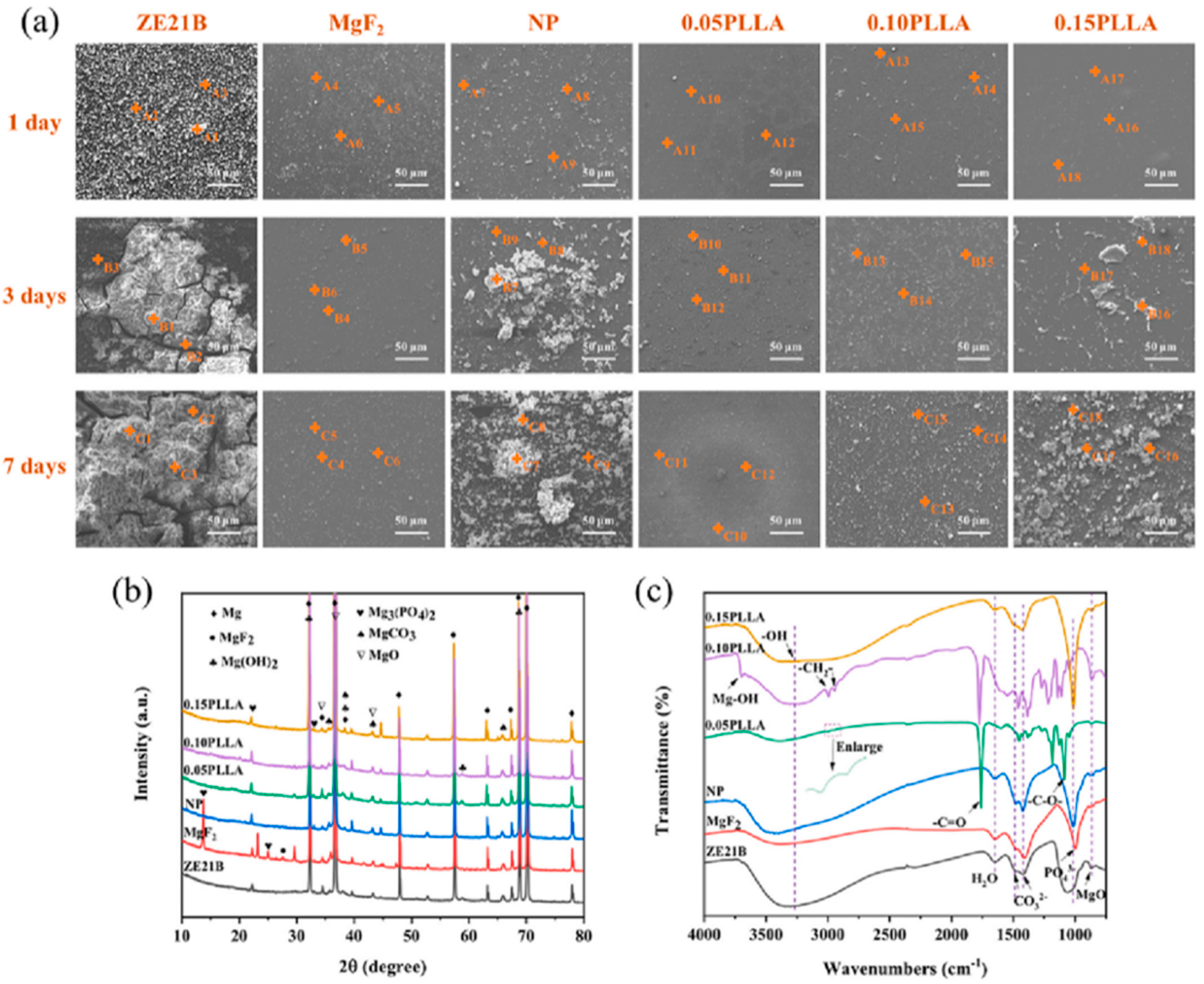 Coatings 13 01345 g007