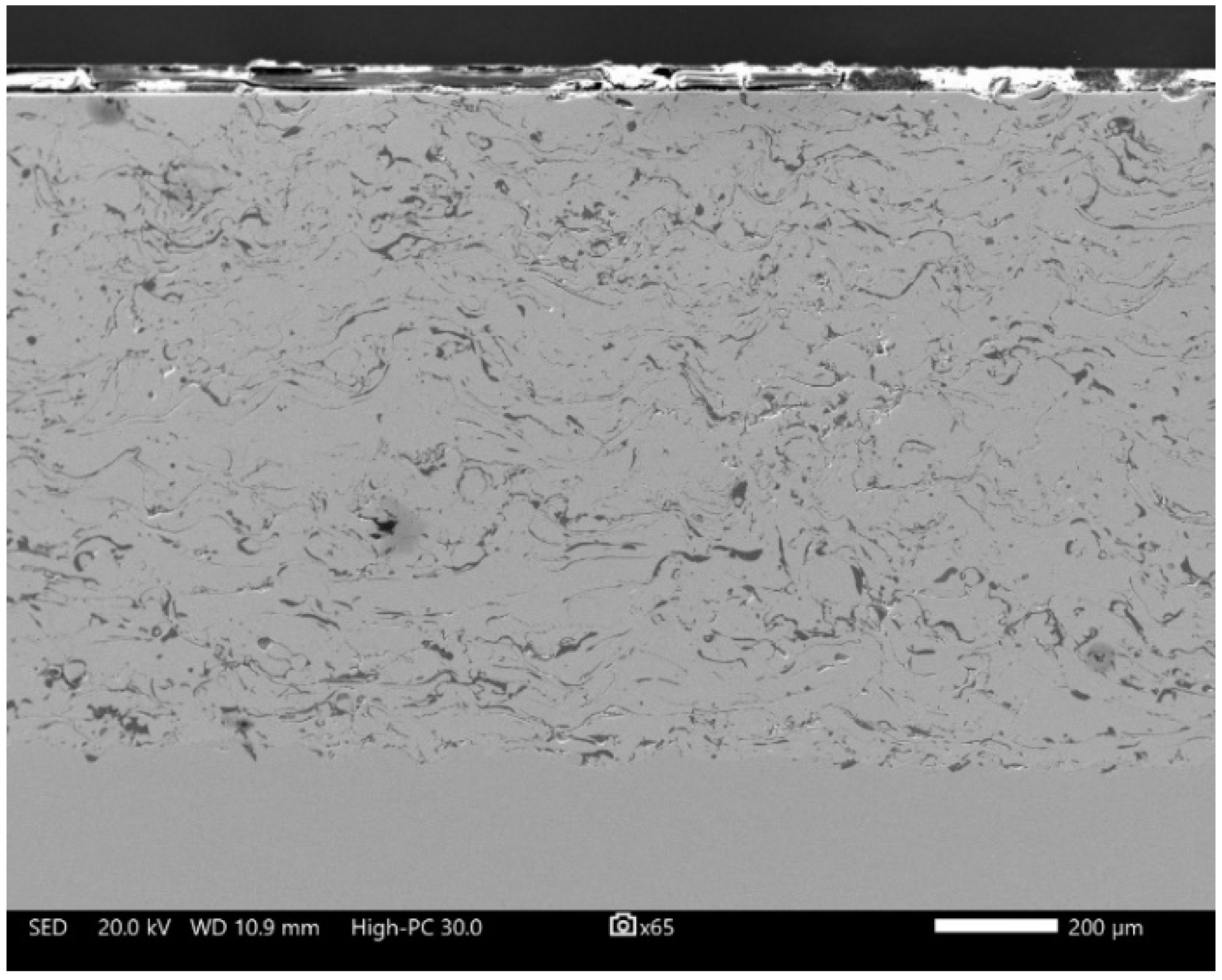 Coatings 13 01349 g001