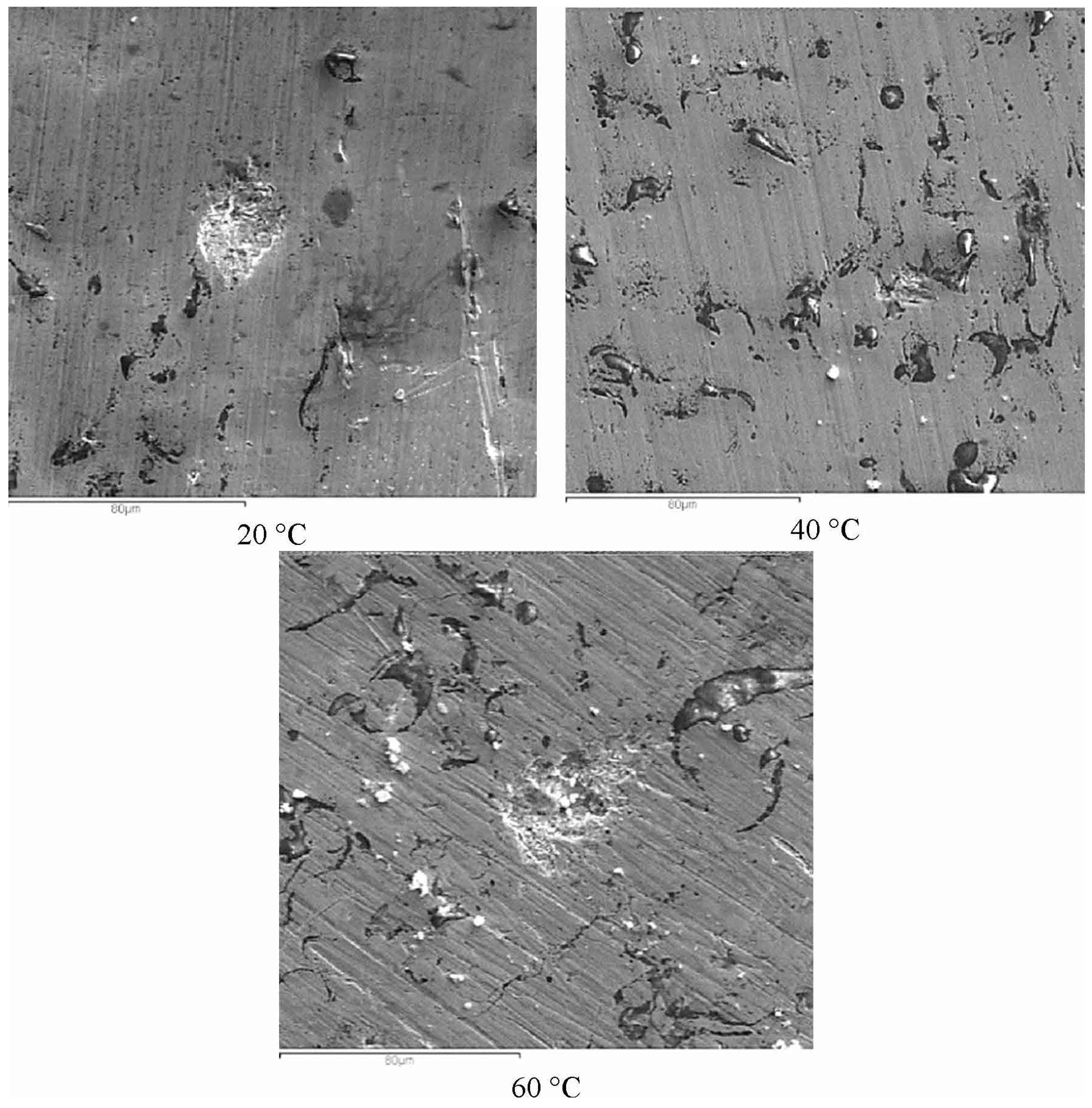 Coatings 13 01349 g010