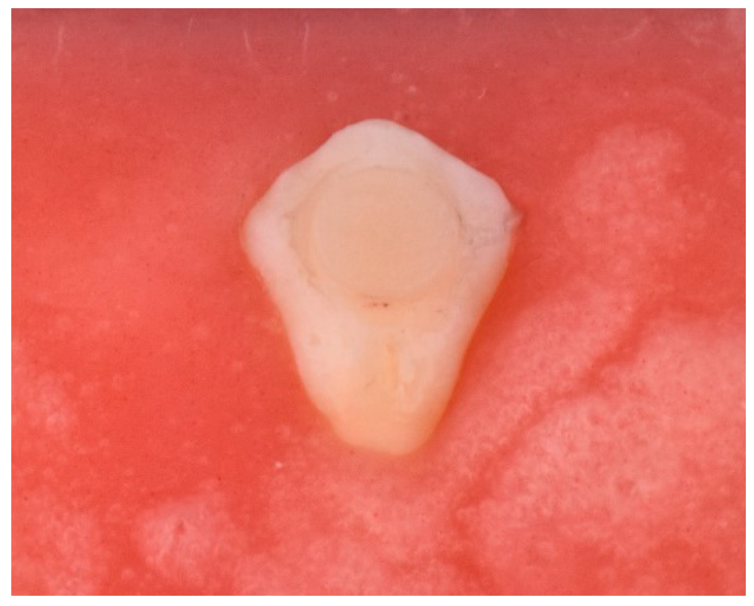 Coatings 13 01352 g001