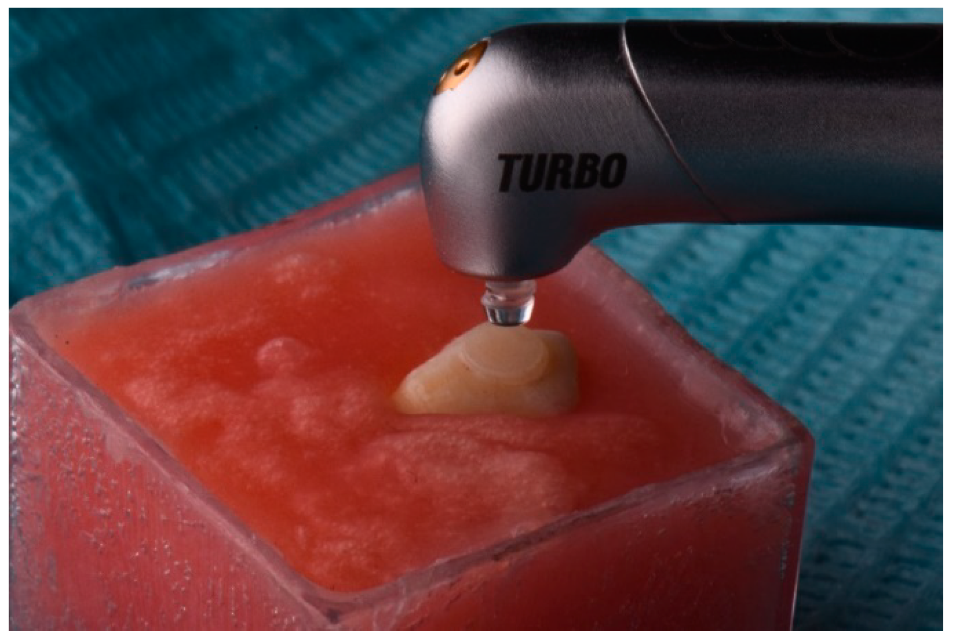 Coatings 13 01352 g002