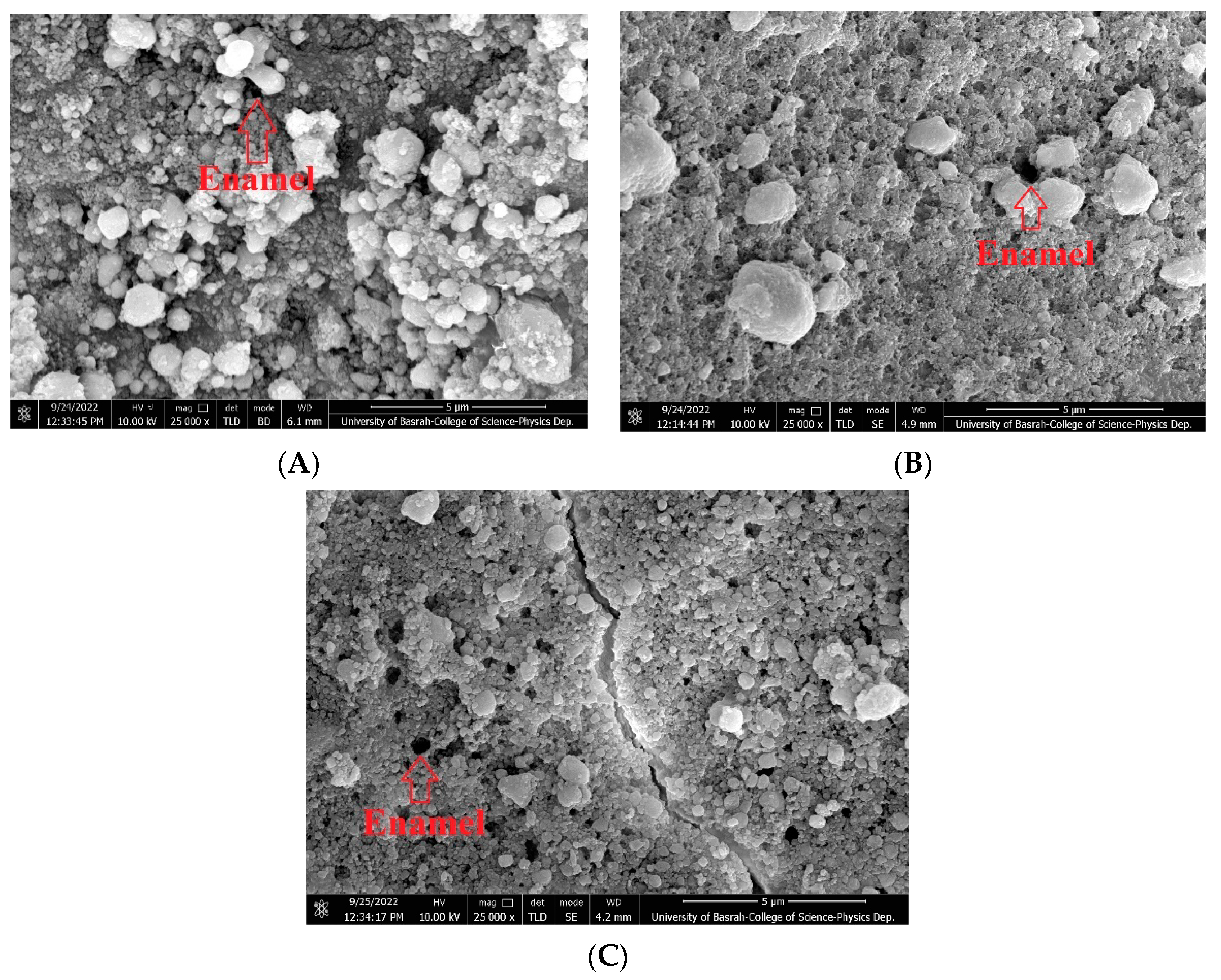 Coatings 13 01352 g008