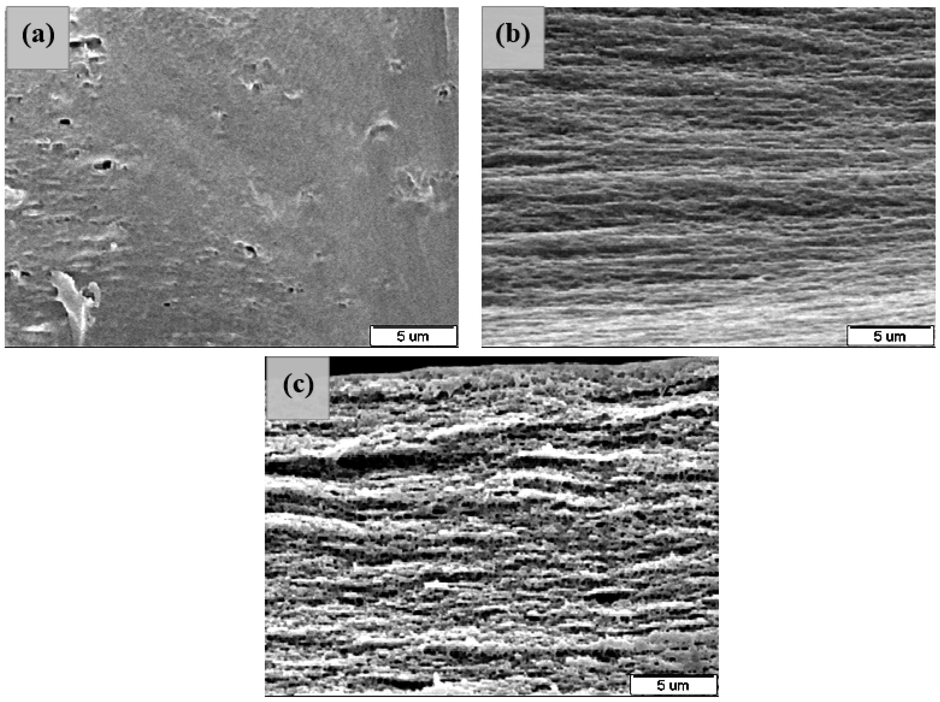Coatings 13 01361 g002