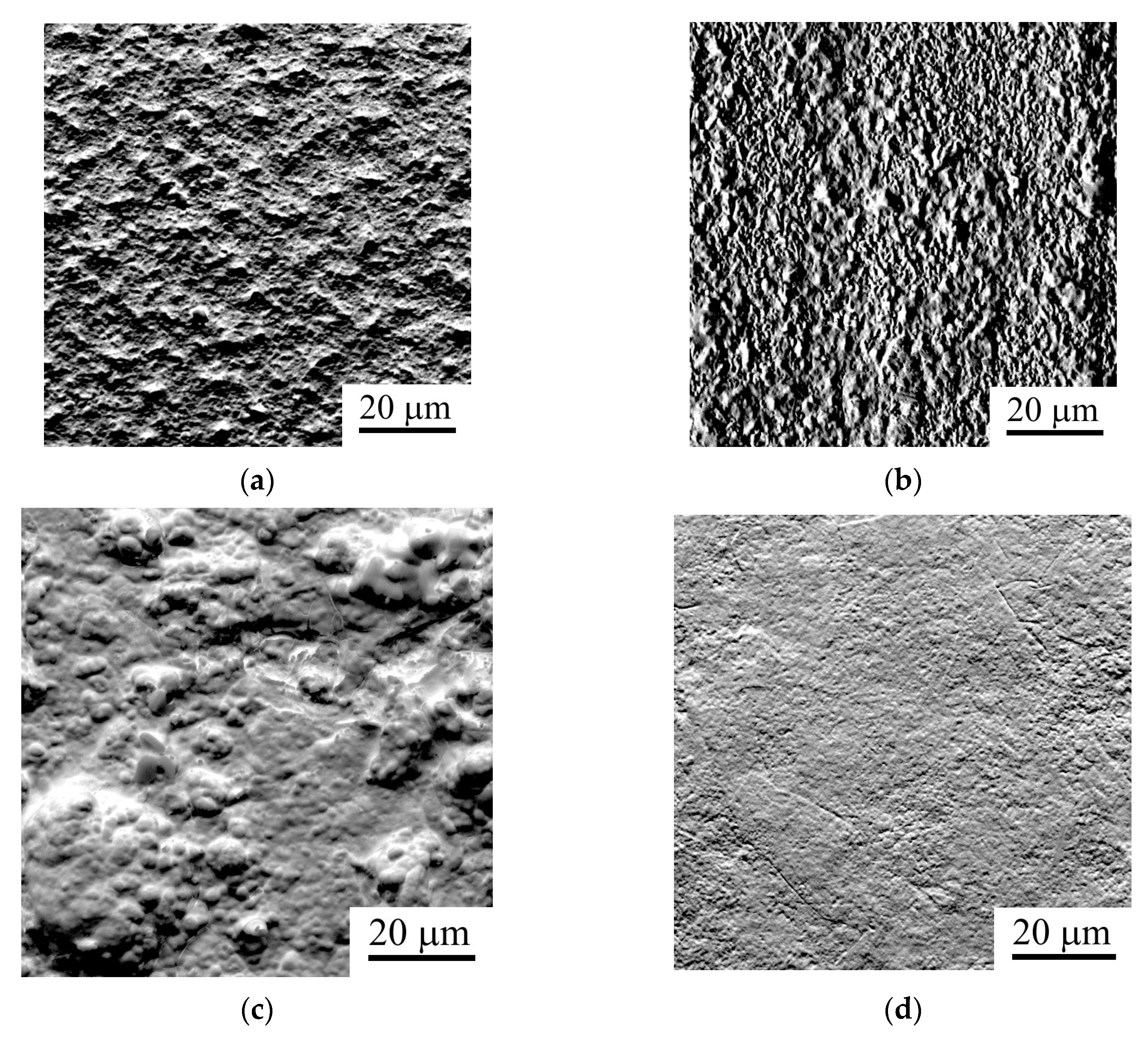 Coatings 13 01363 g007