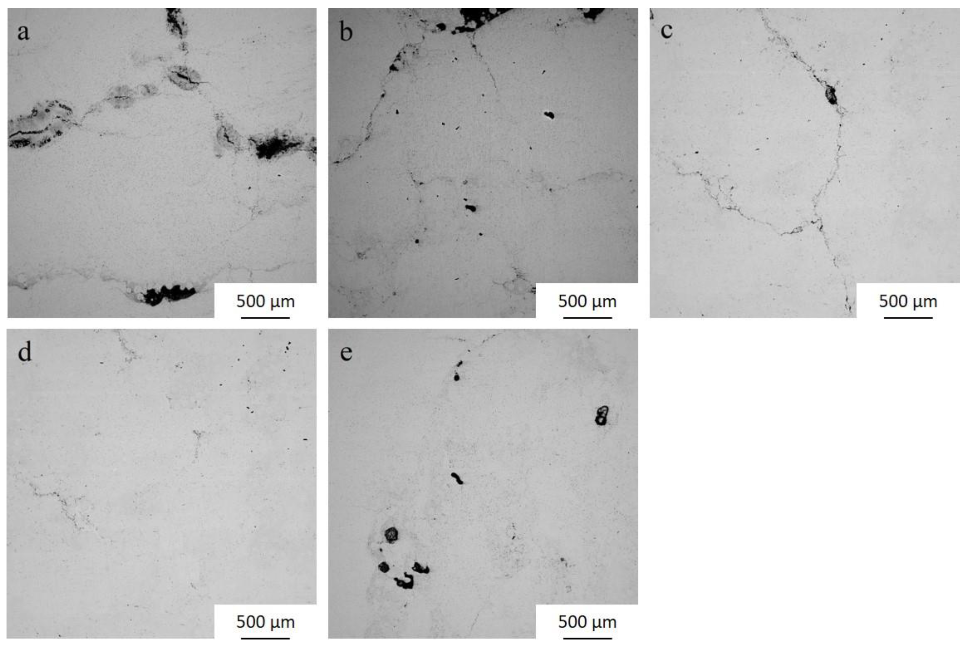 Coatings 13 01365 g003