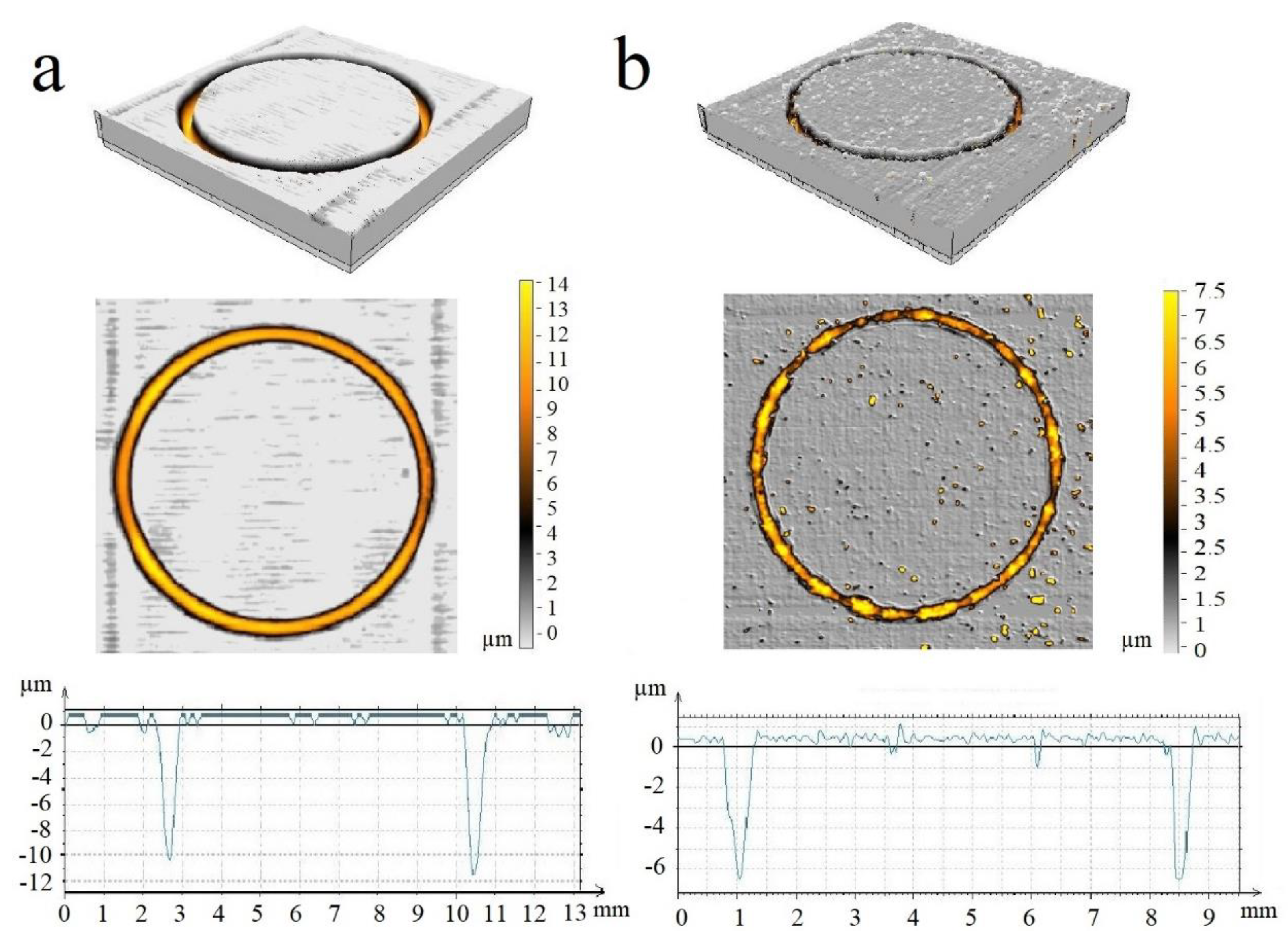 Coatings 13 01365 g010